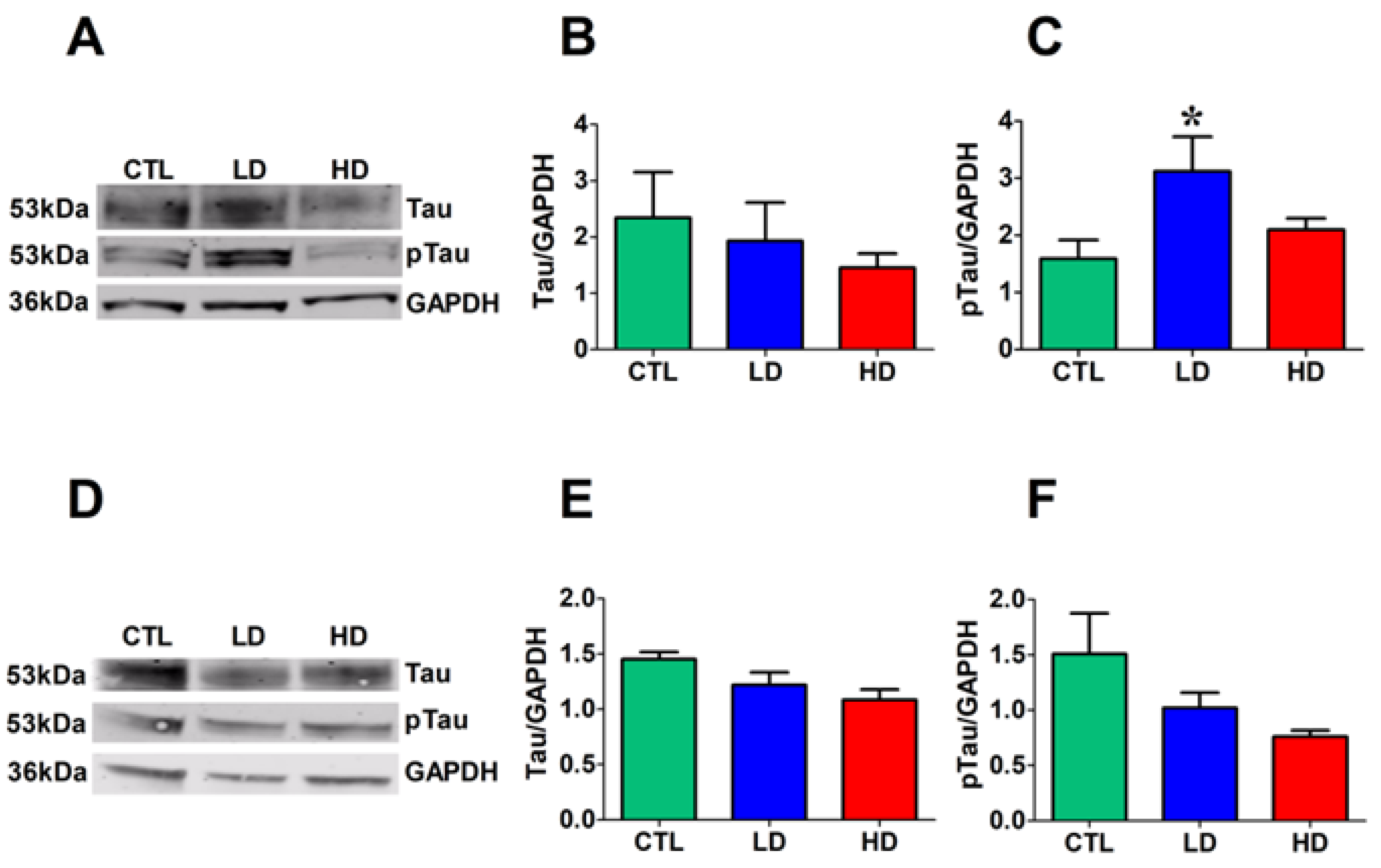 Biology 12 01264 g006 Biology 12 01264 g006
