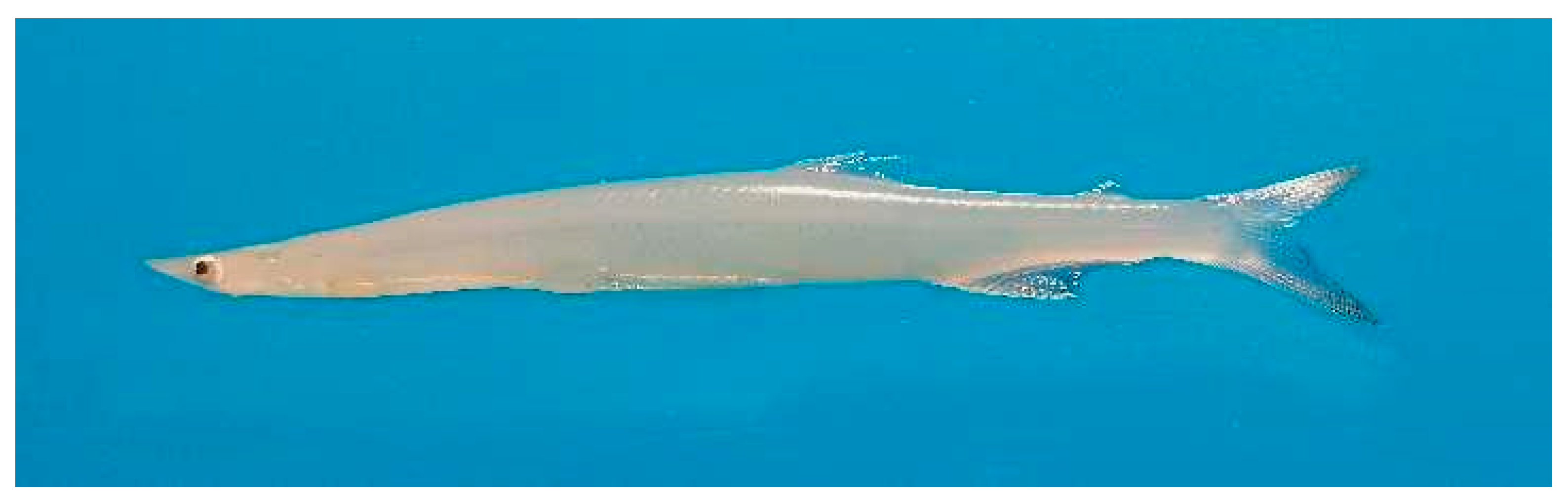 Biology 12 01266 g001