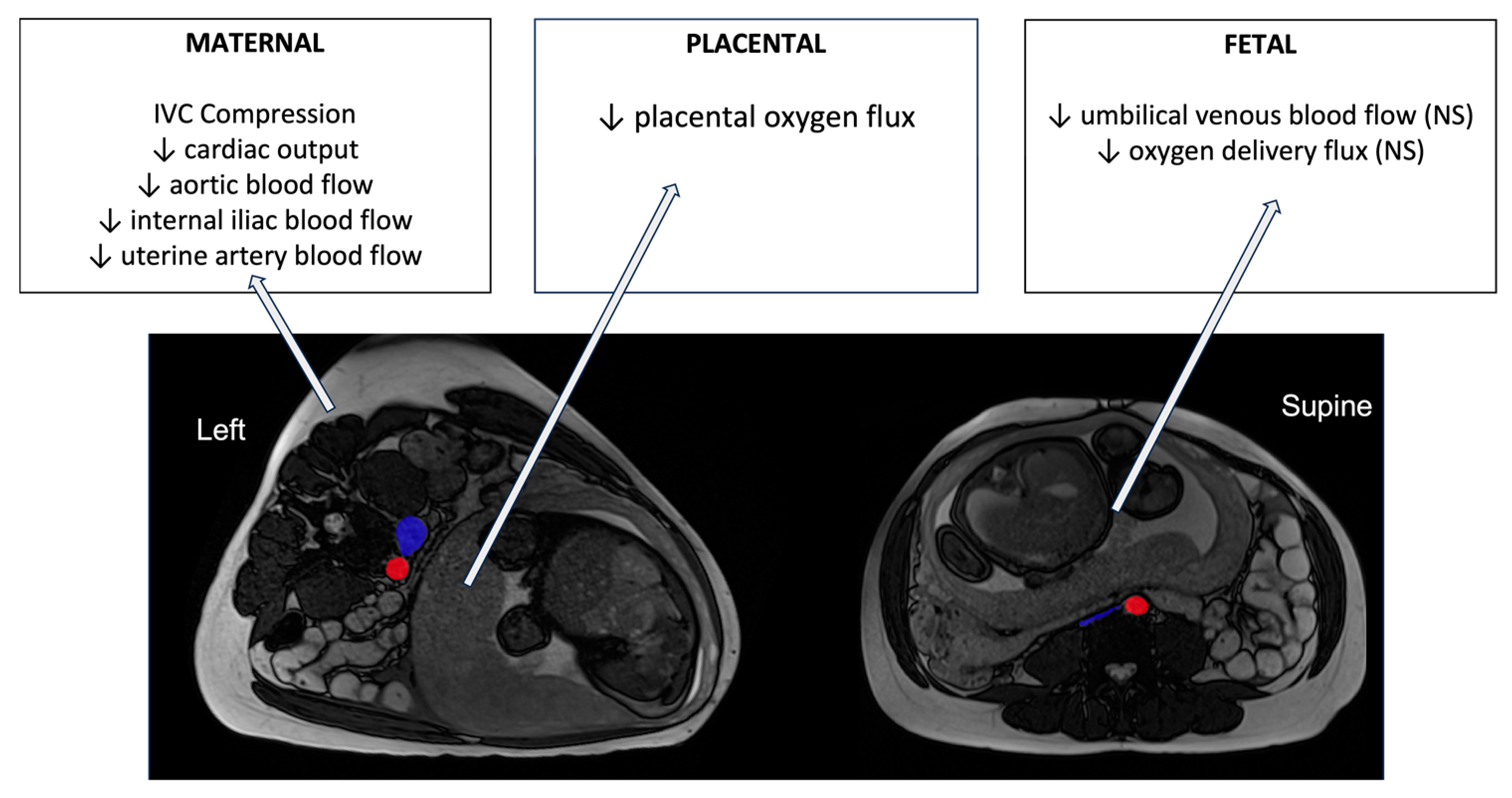 Biology 12 01268 g003