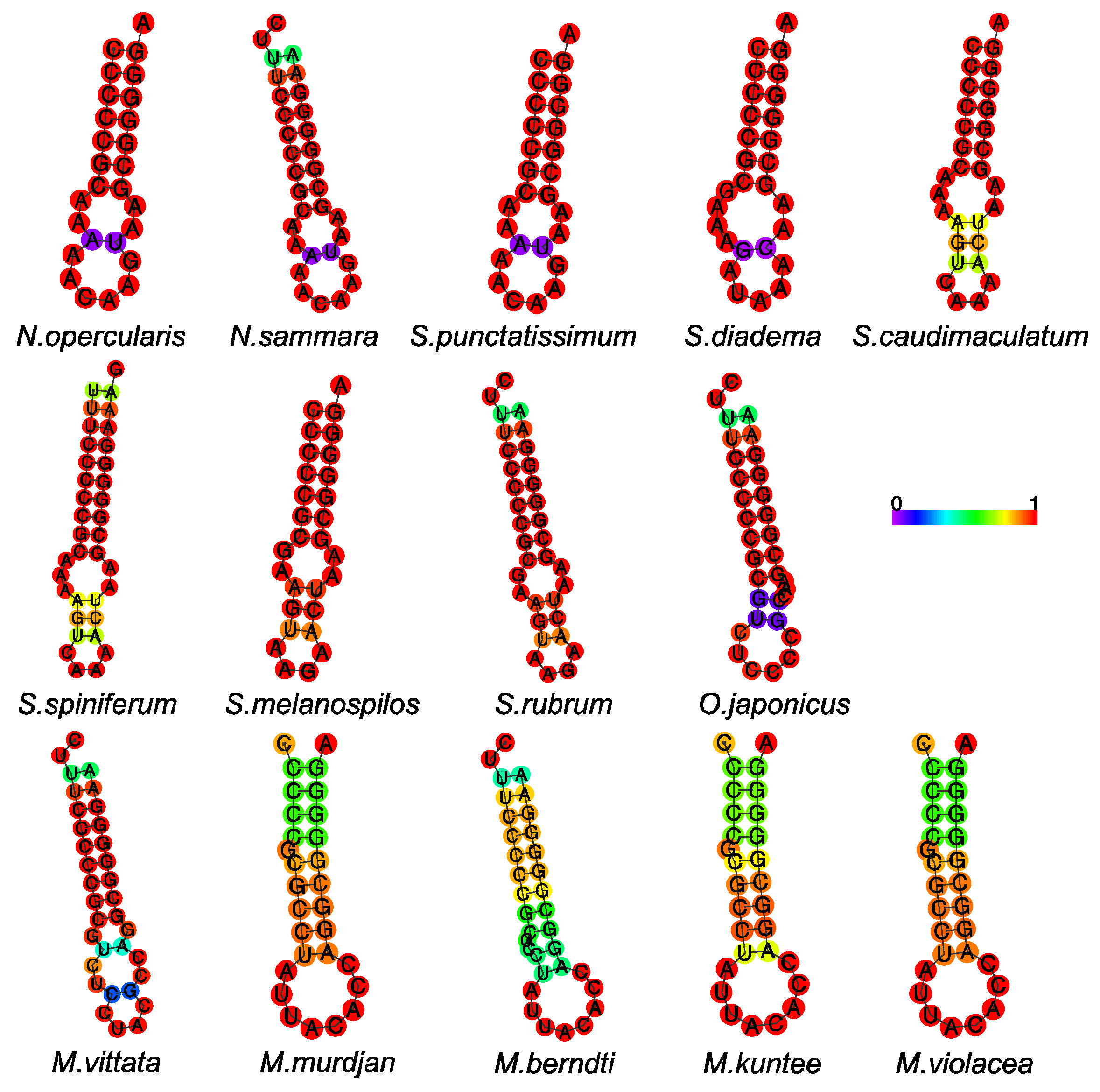 Biology 12 01273 g007