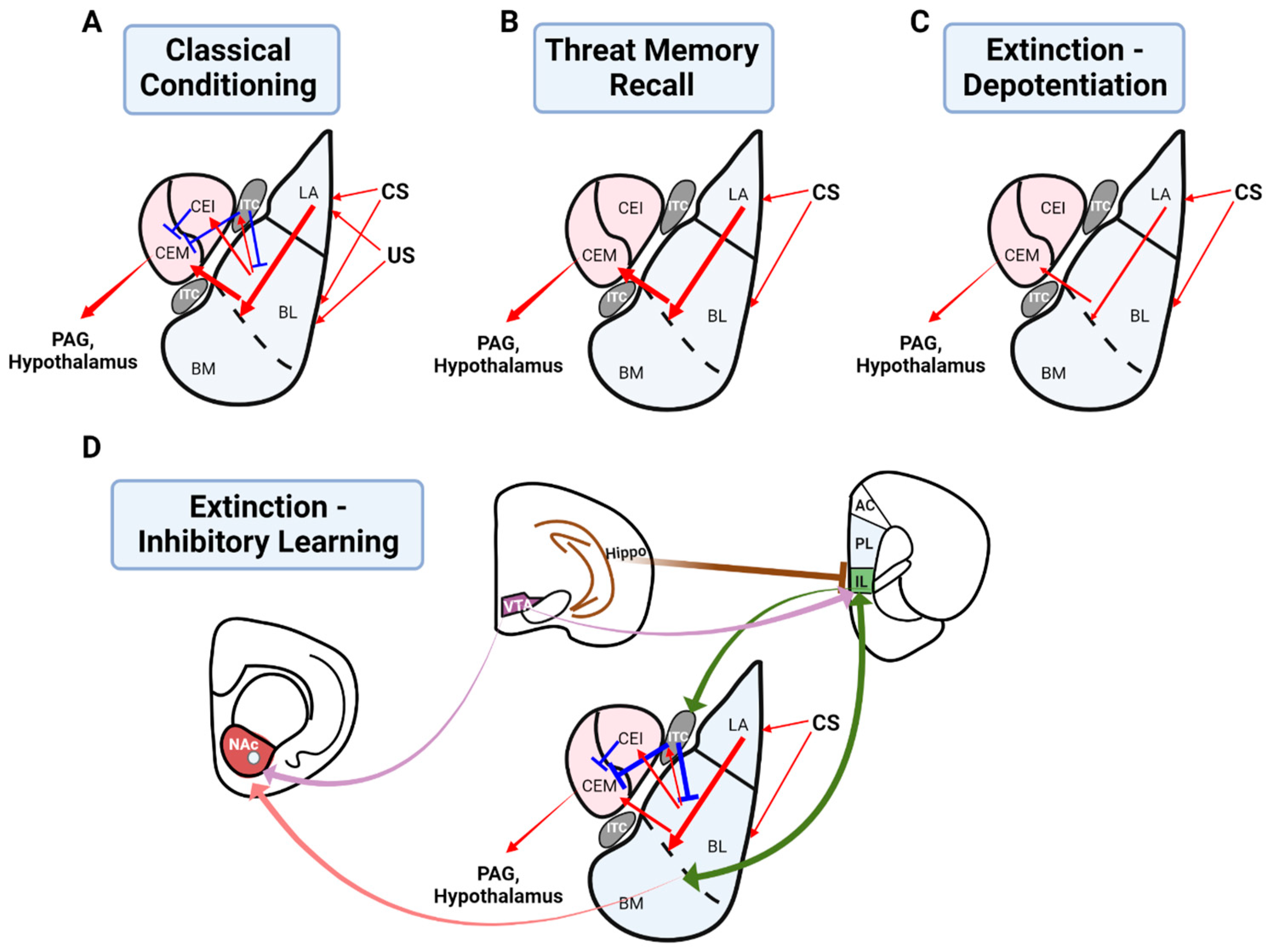 Biology 12 01274 g002