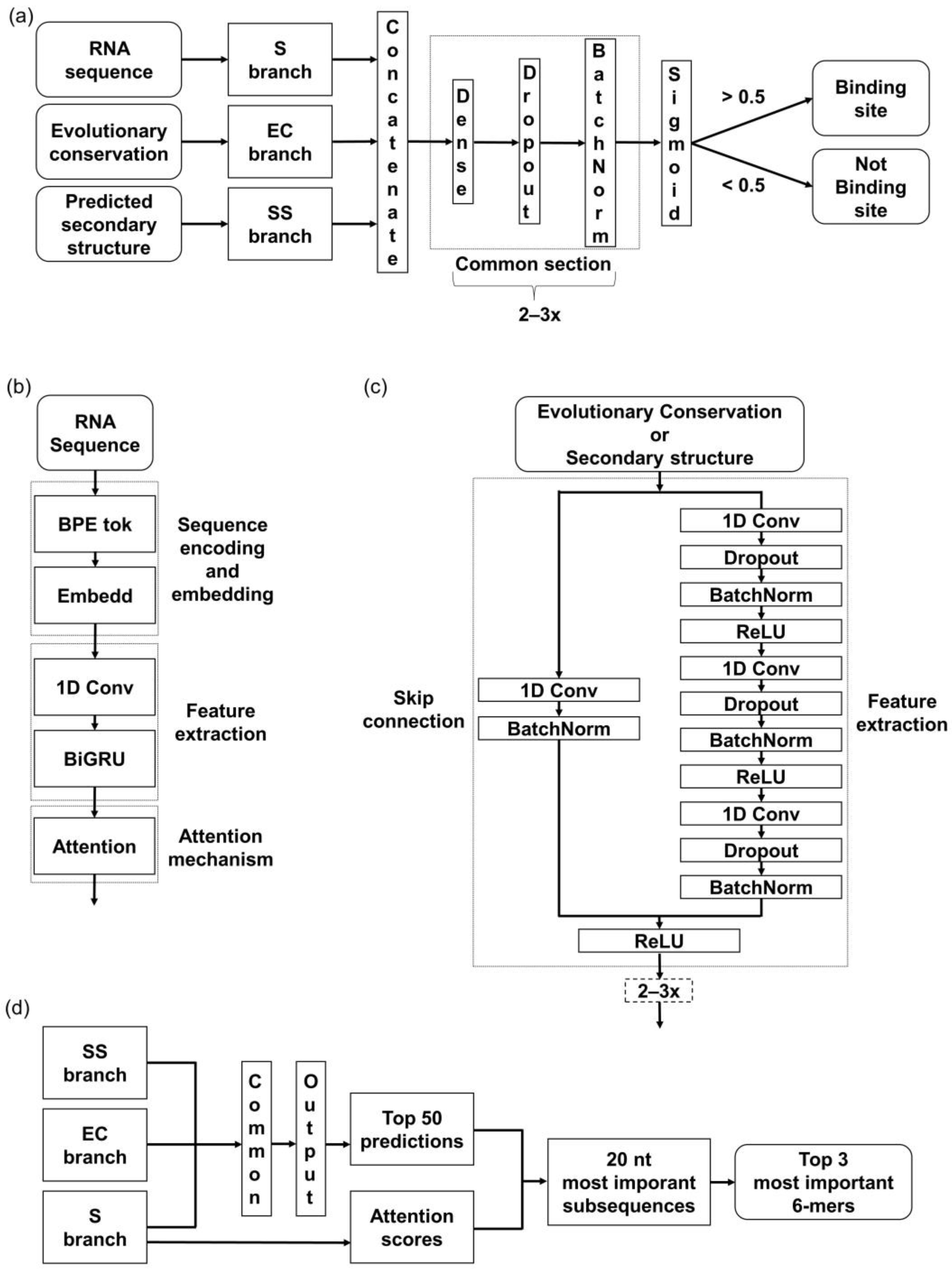 Biology 12 01276 g001