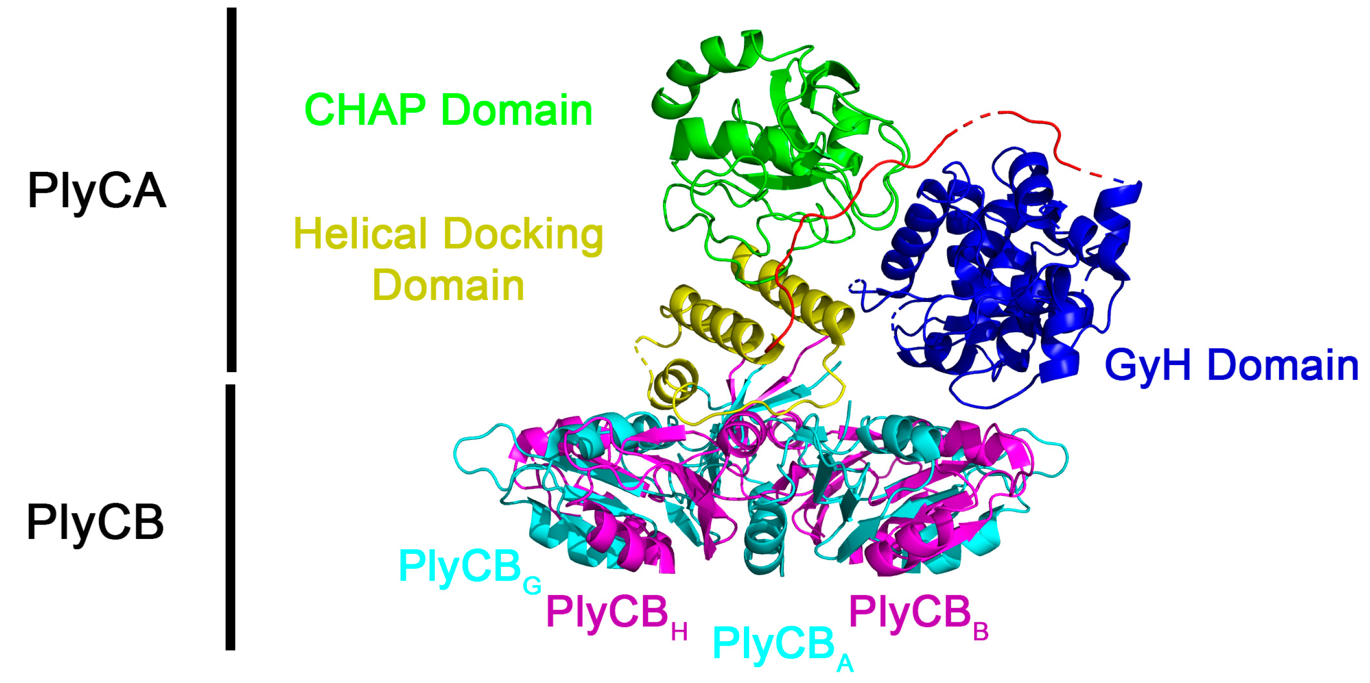 Biology 12 01277 g001