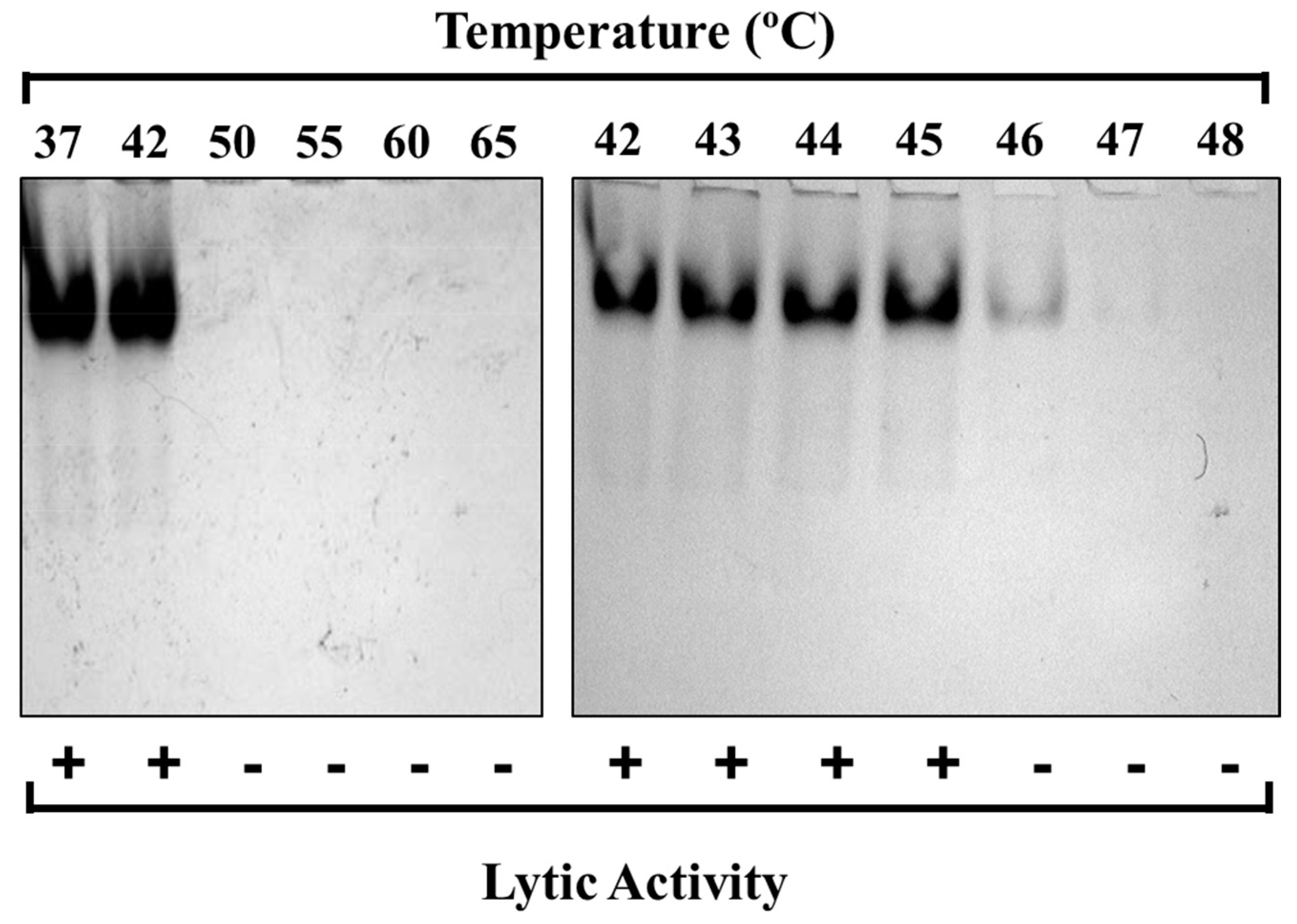 Biology 12 01277 g003