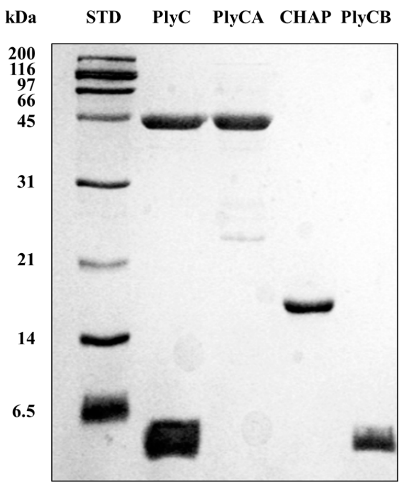 Biology 12 01277 g004