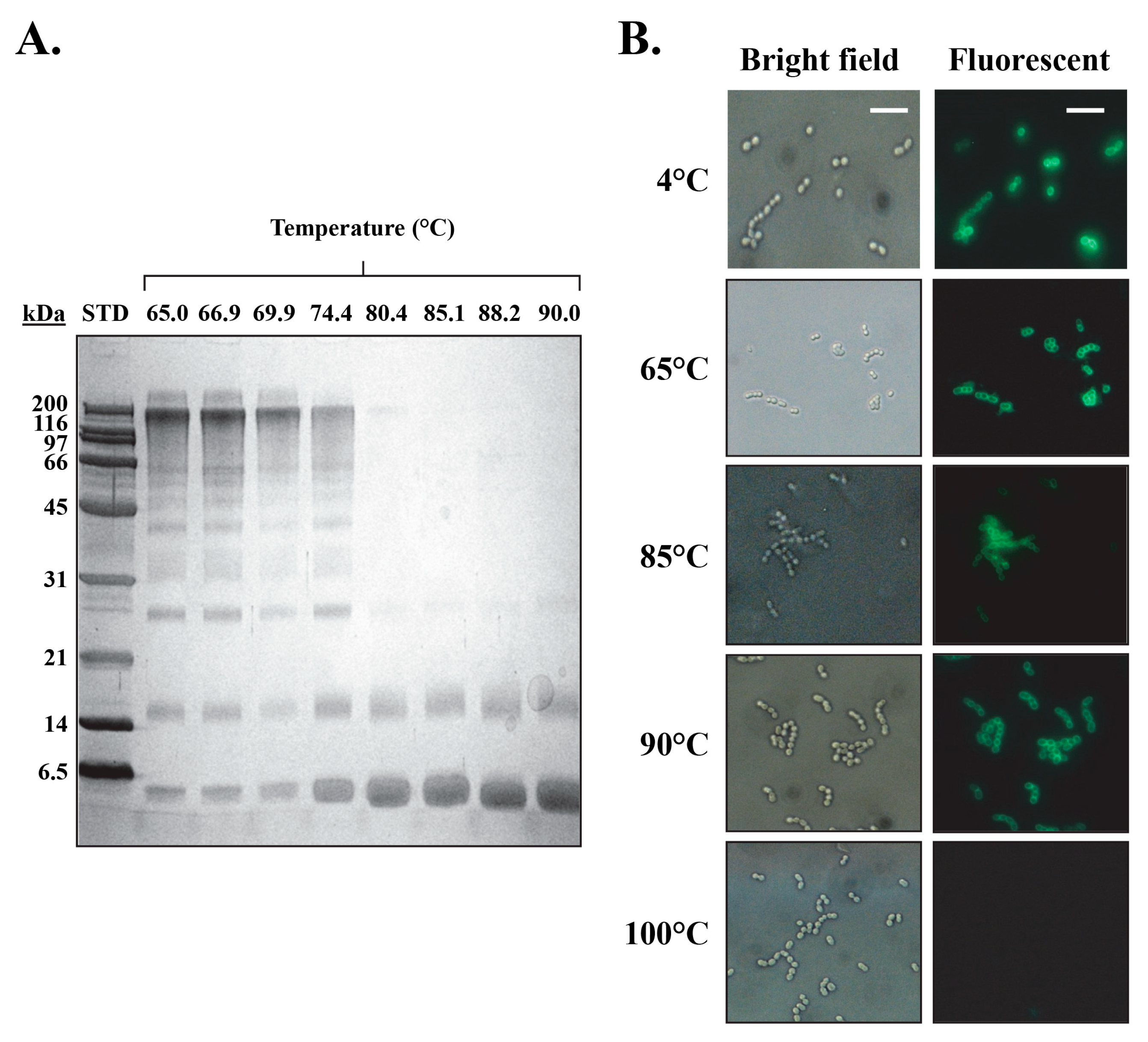 Biology 12 01277 g006
