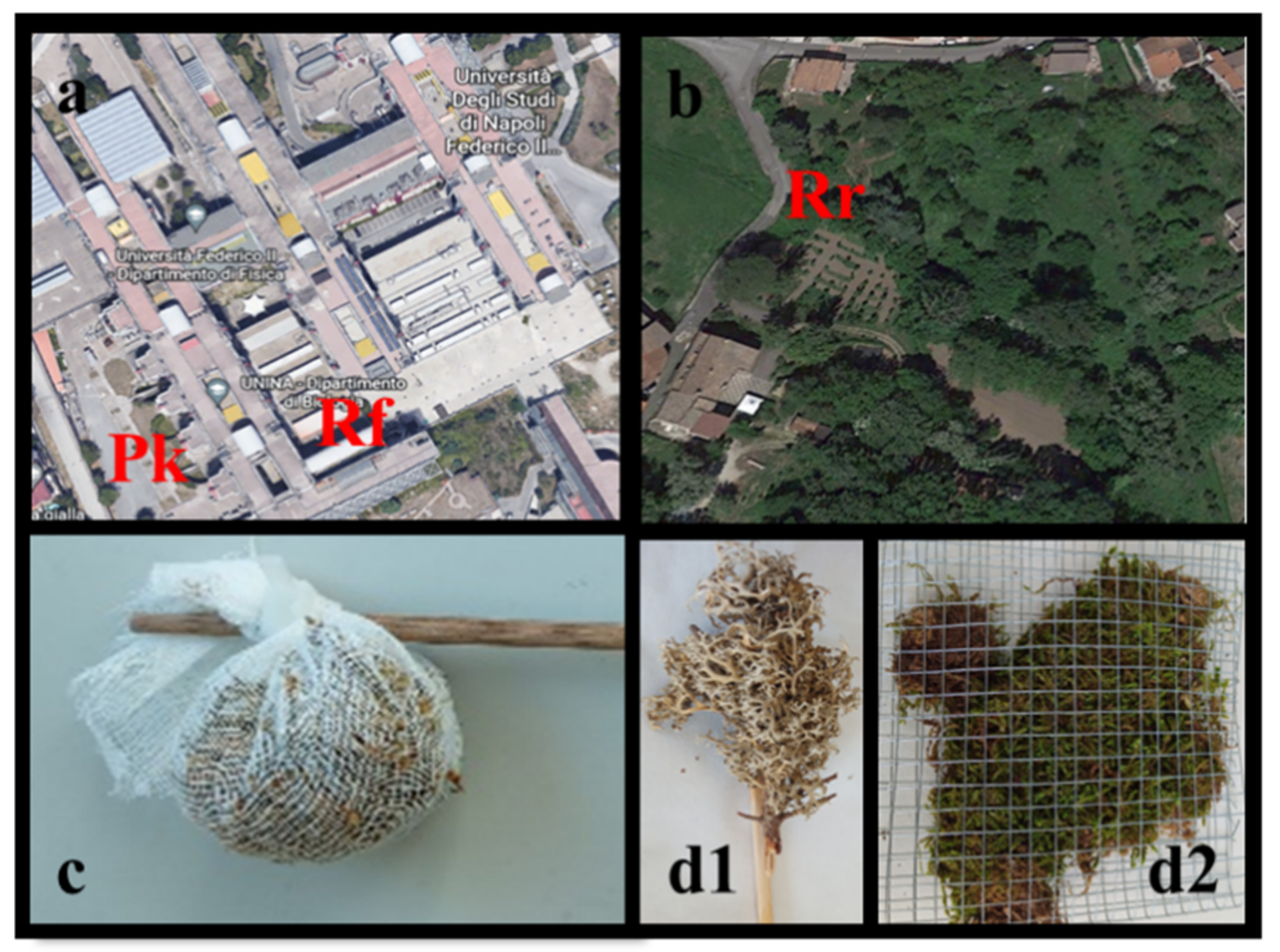 Biology 12 01278 g001