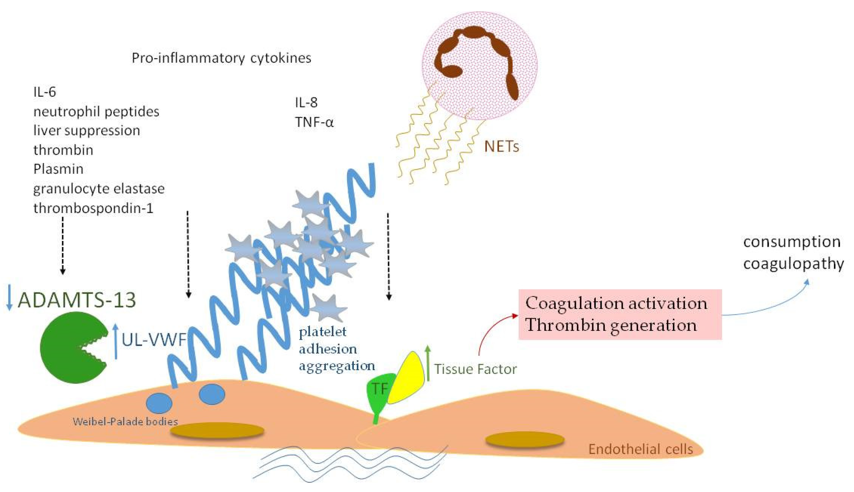 Biology 12 01281 g003