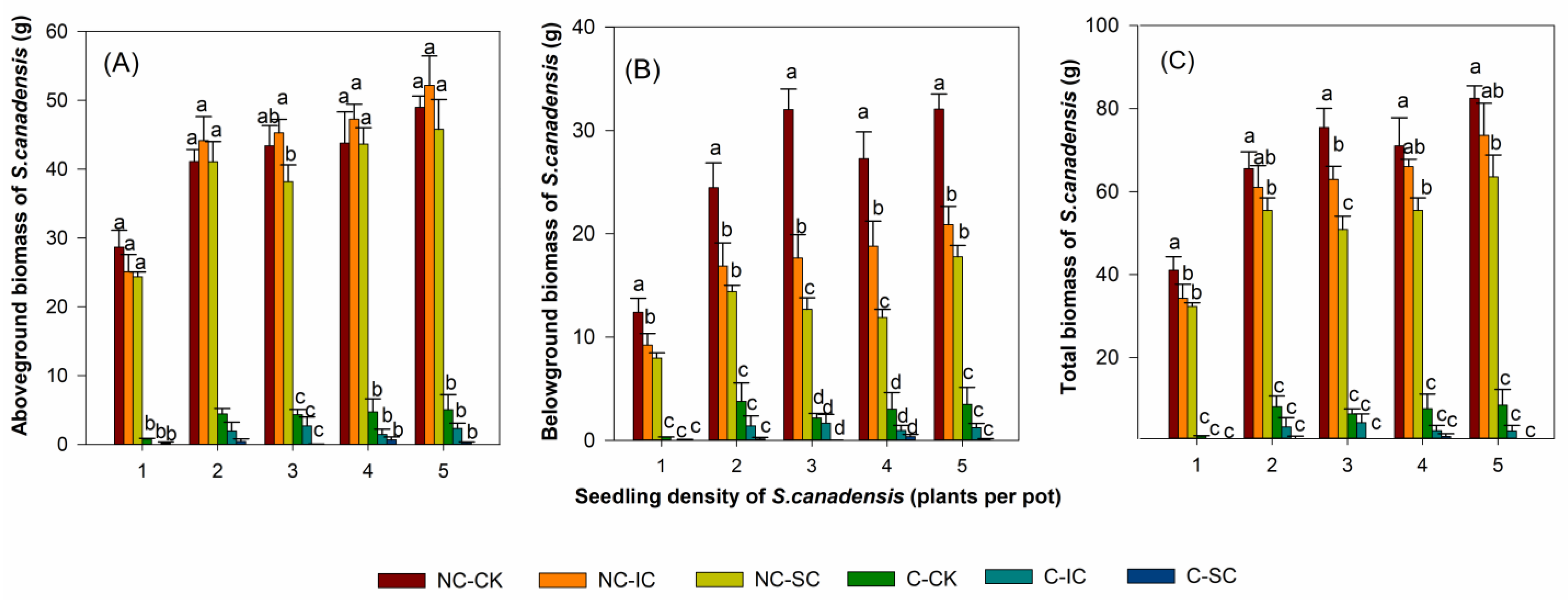 Biology 12 01282 g001 Biology 12 01282 g001