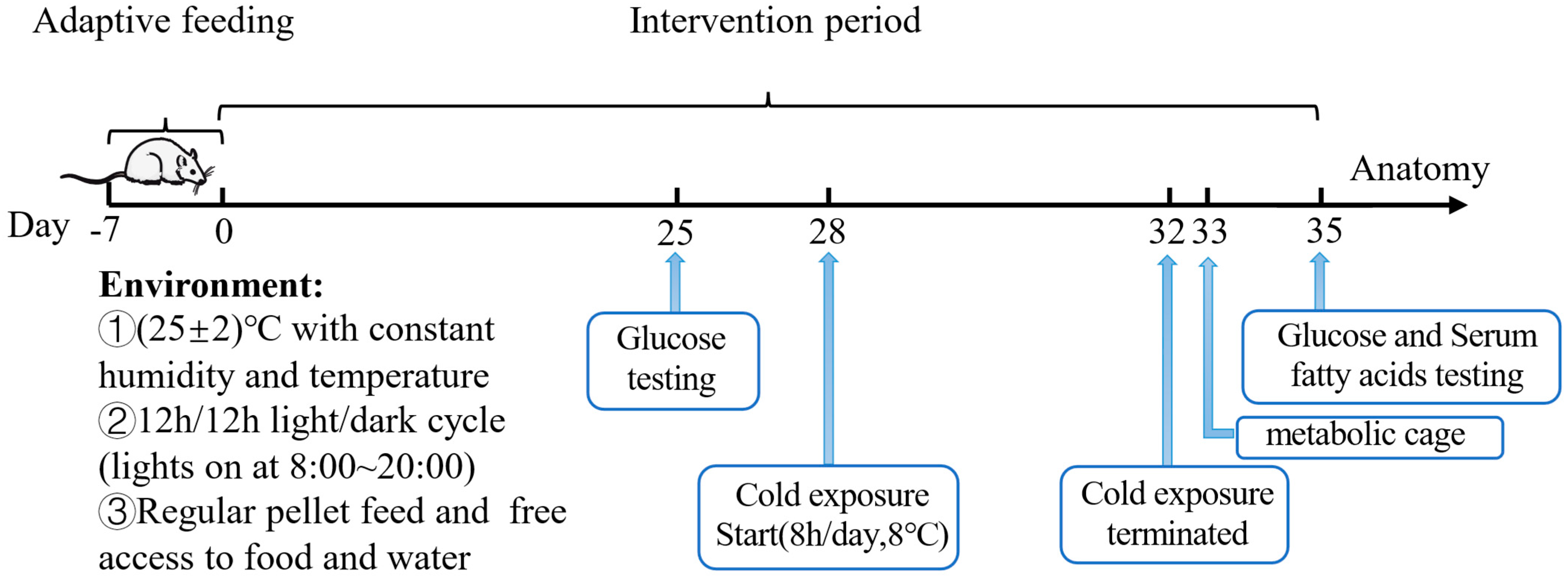 Biology 12 01285 g001