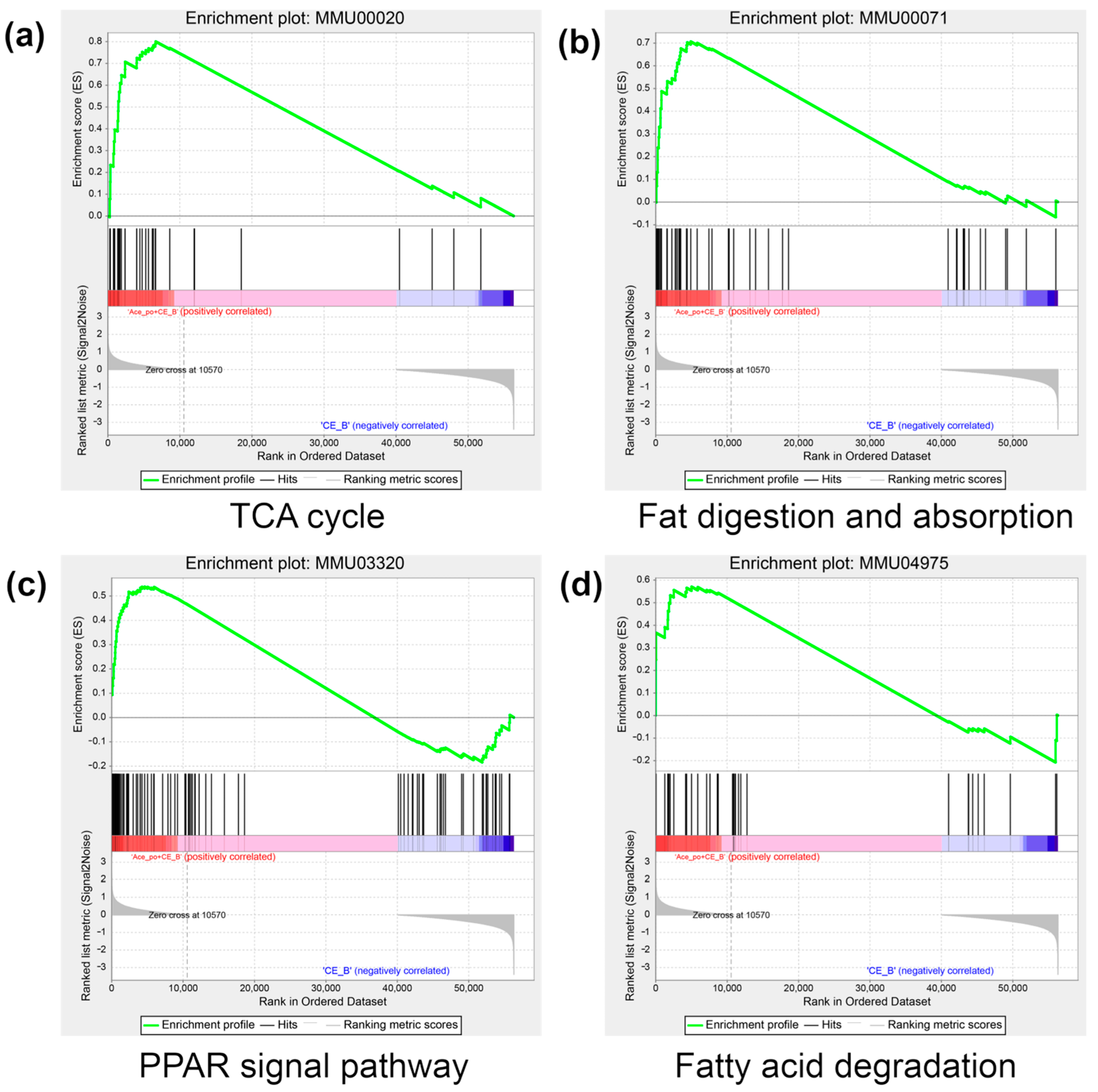 Biology 12 01285 g008