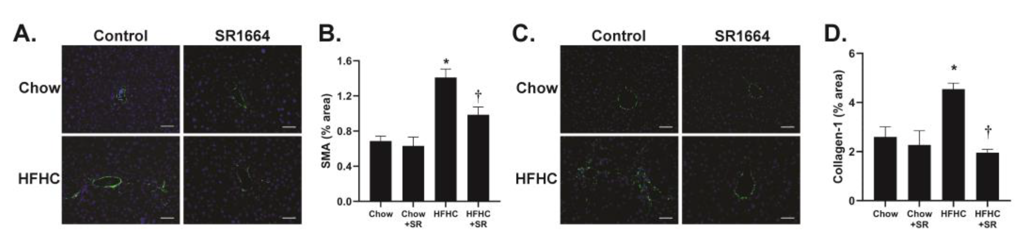 Biology 12 01287 g003