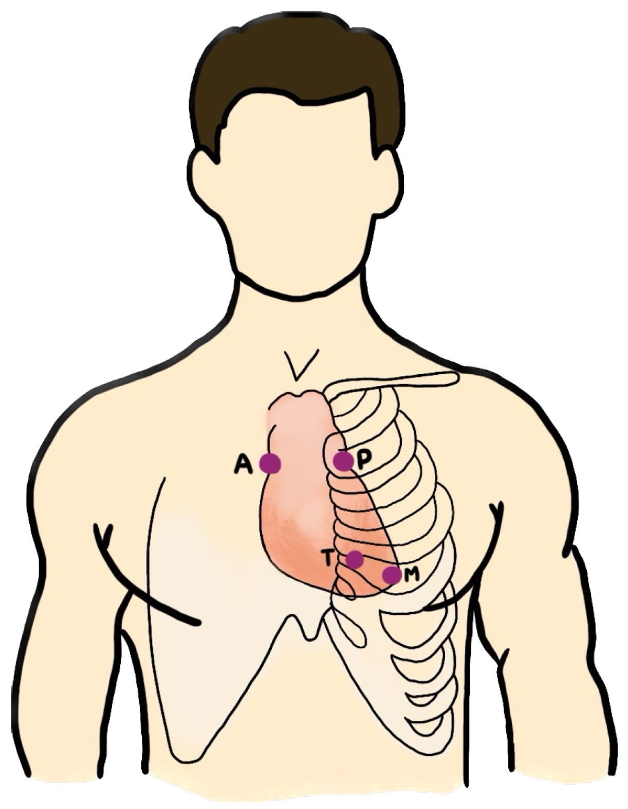 Biology 12 01291 g008