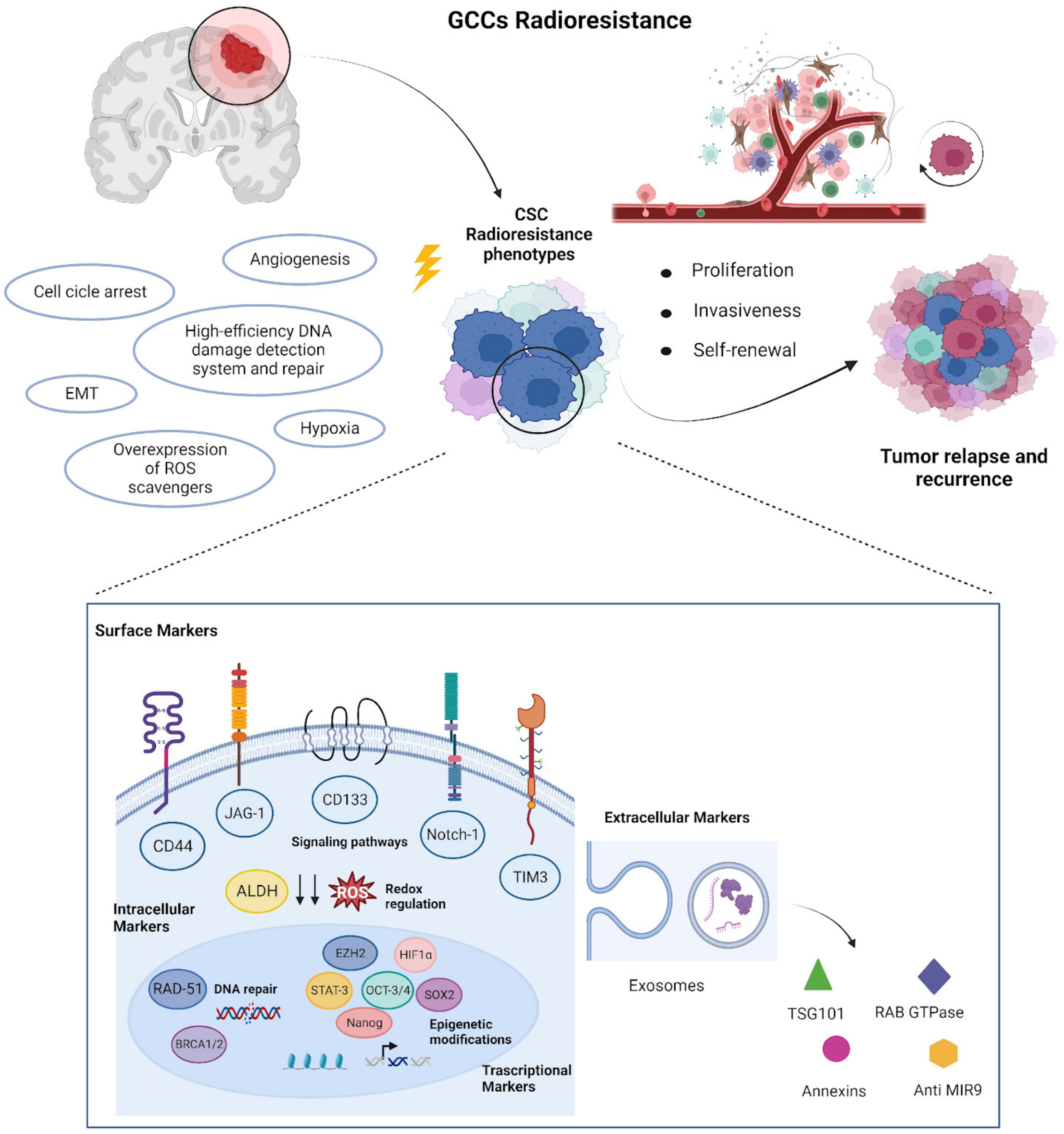 Frontiers  Multiple ectopic recurrent germ cell tumors after