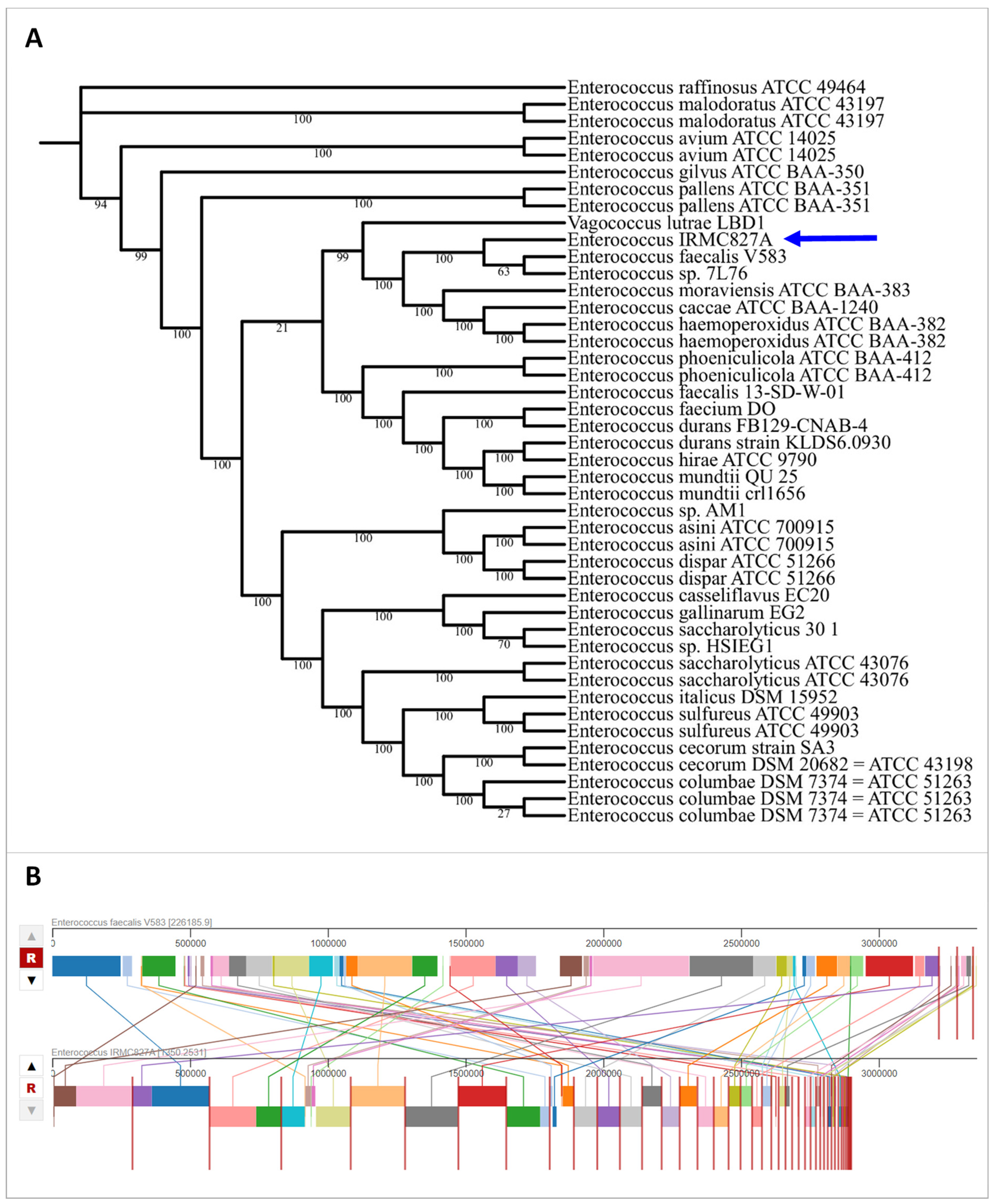 Biology 12 01296 g002