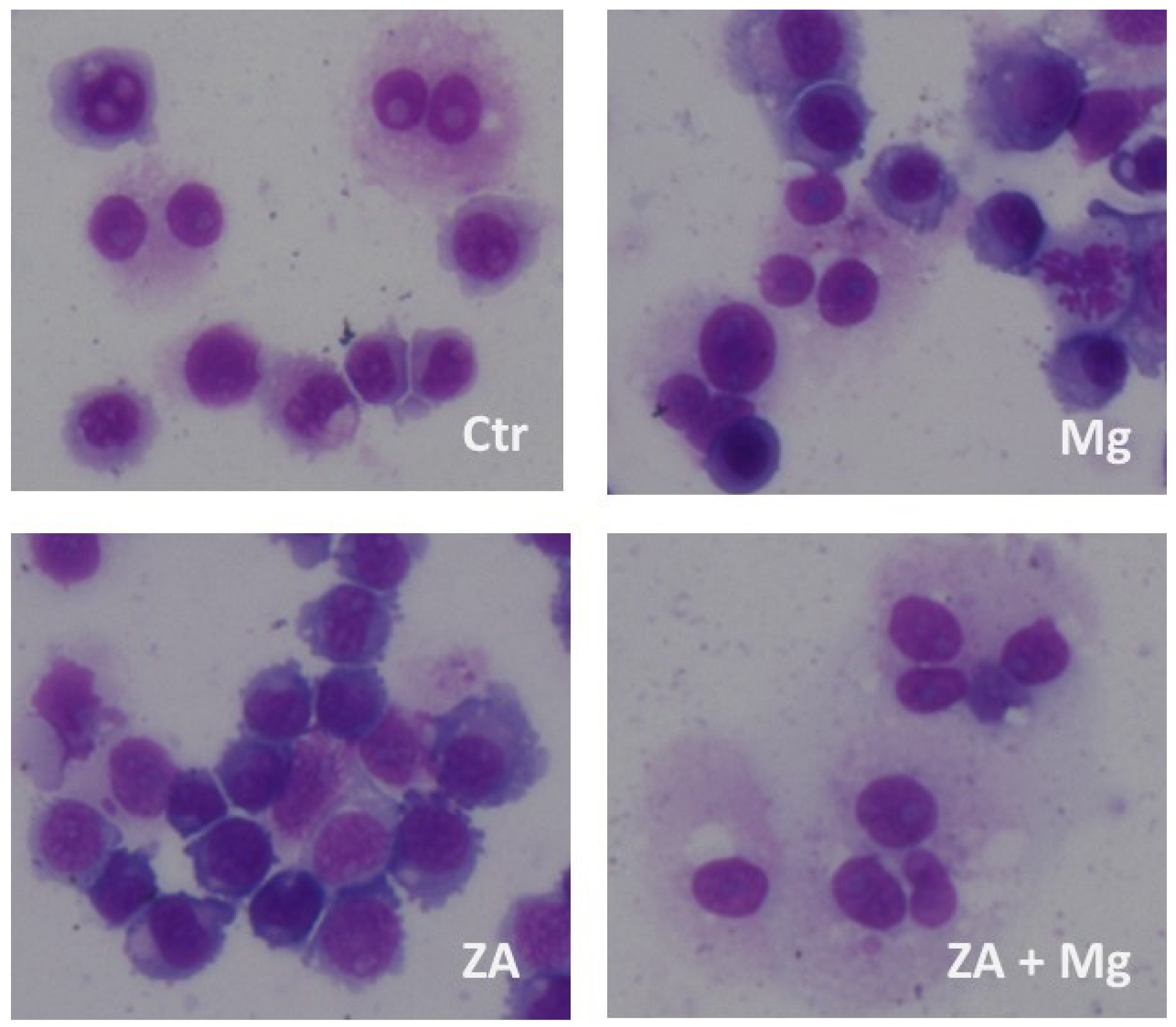 Biology 12 01297 g006