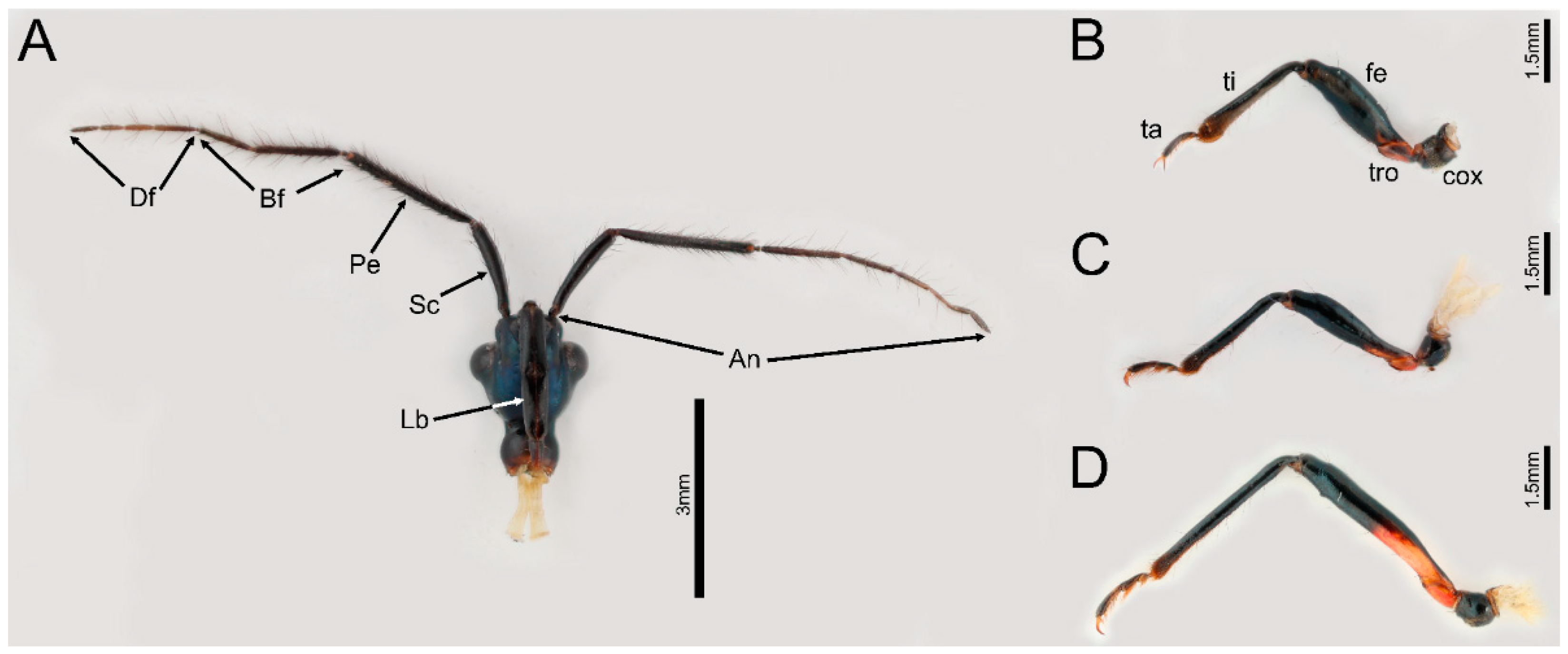 Biology 12 01299 g001