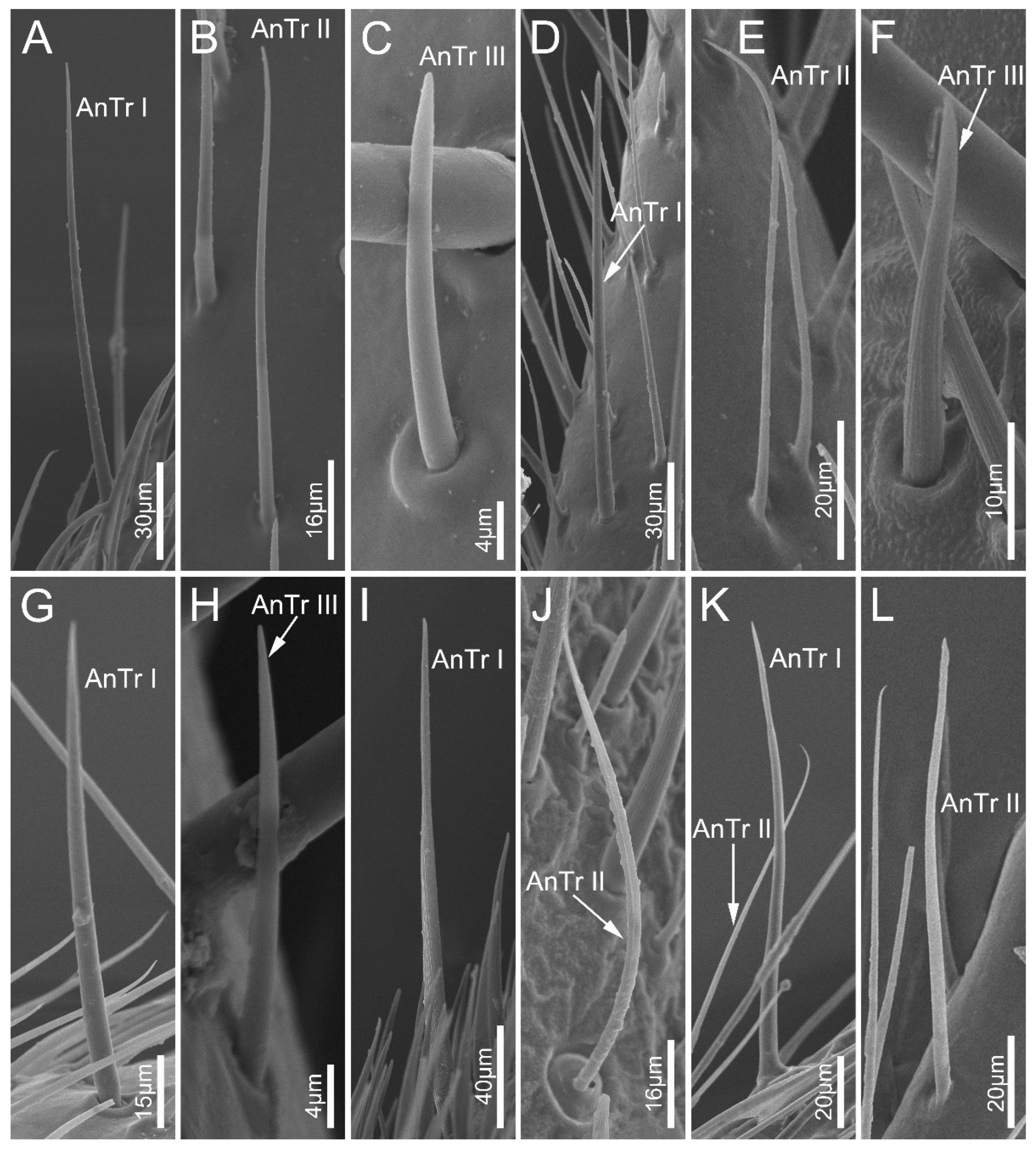 Biology 12 01299 g003