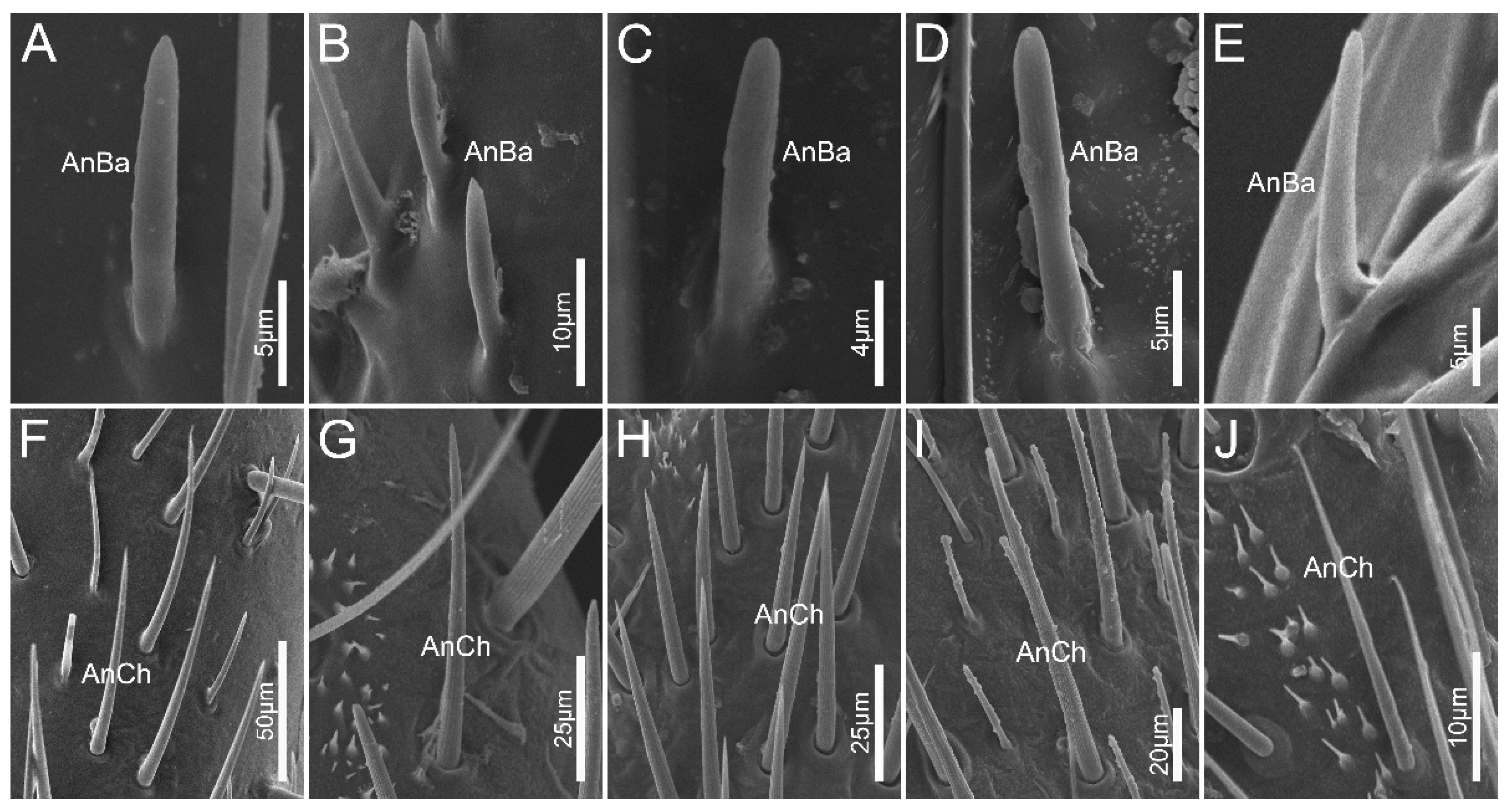 Biology 12 01299 g004
