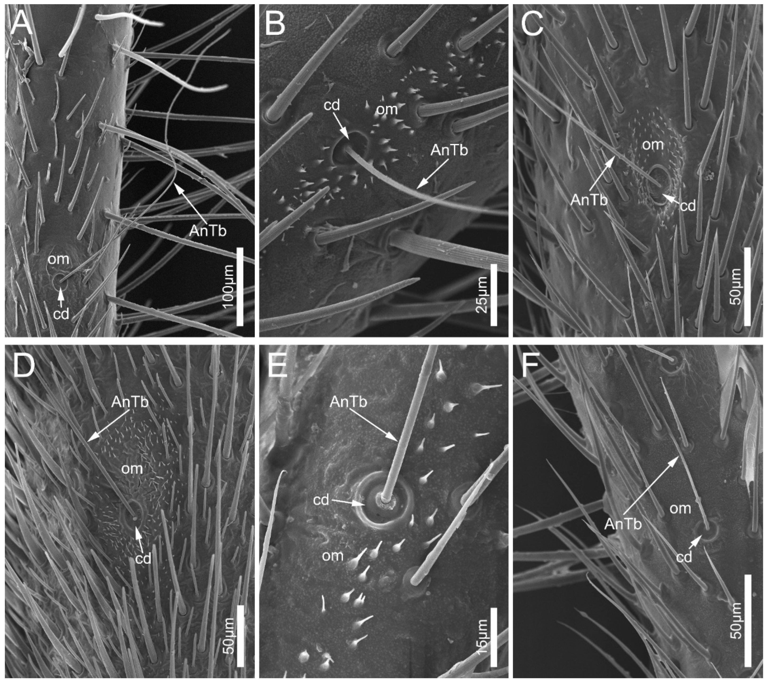 Biology 12 01299 g005