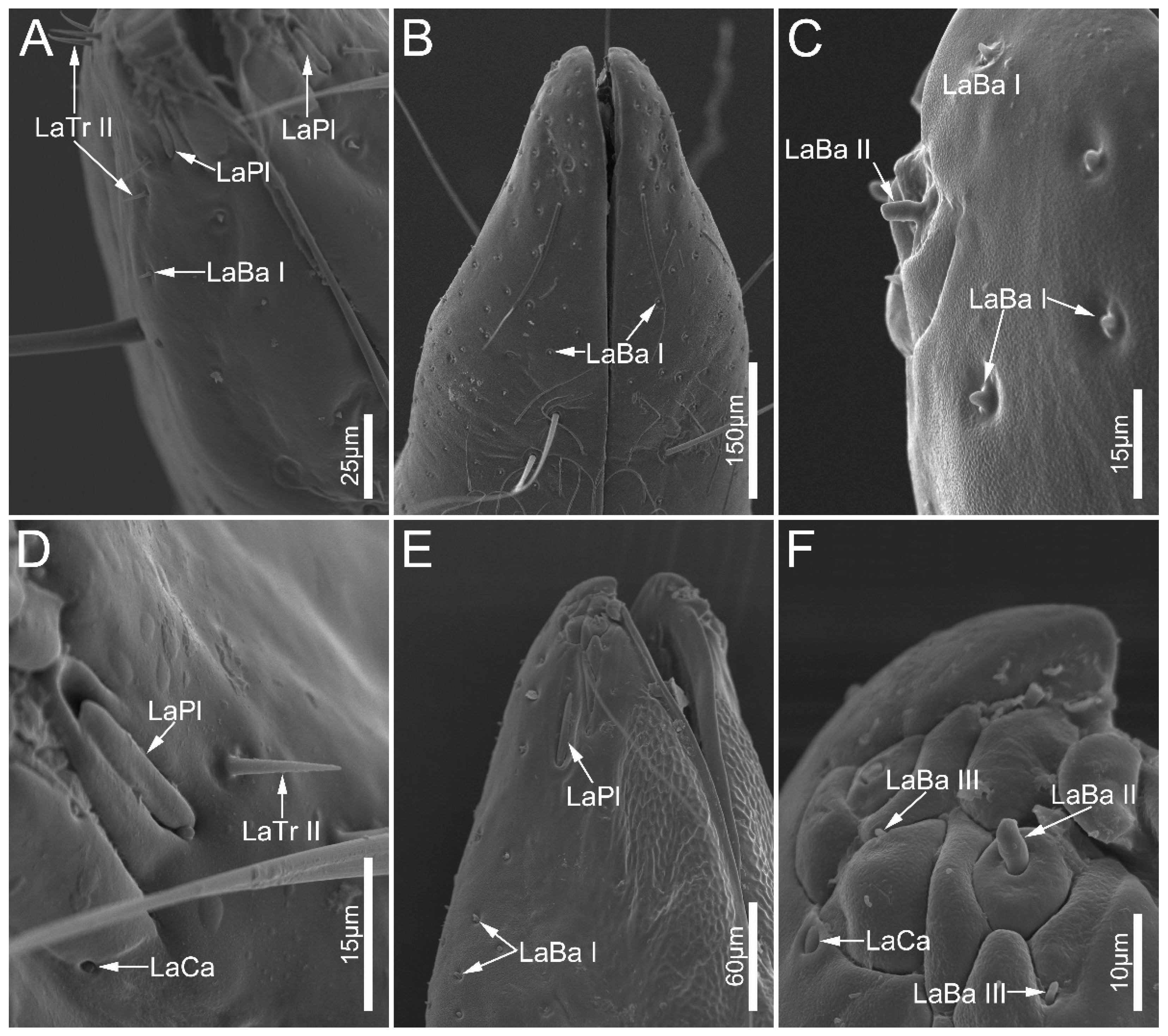 Biology 12 01299 g008