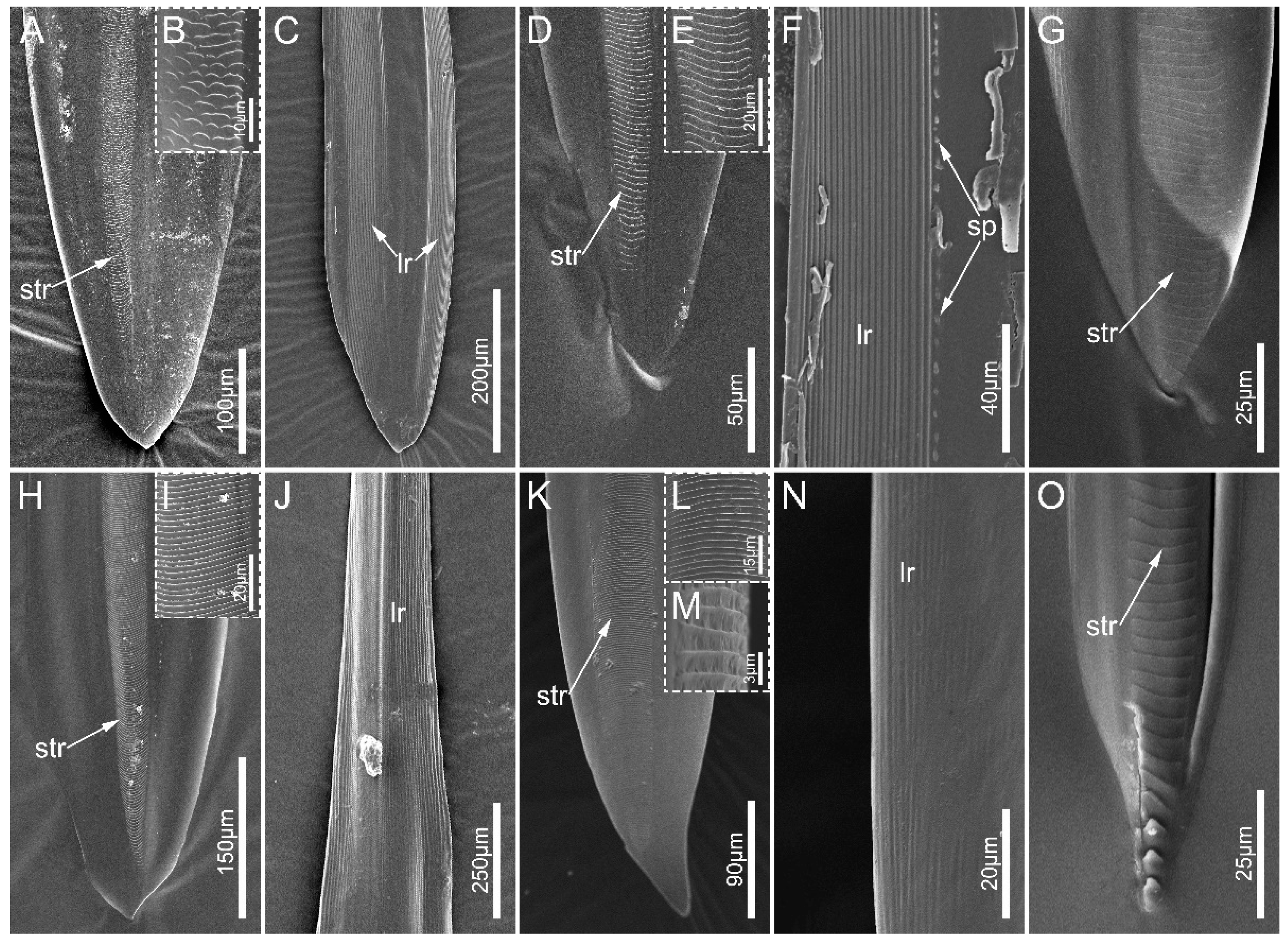 Biology 12 01299 g009