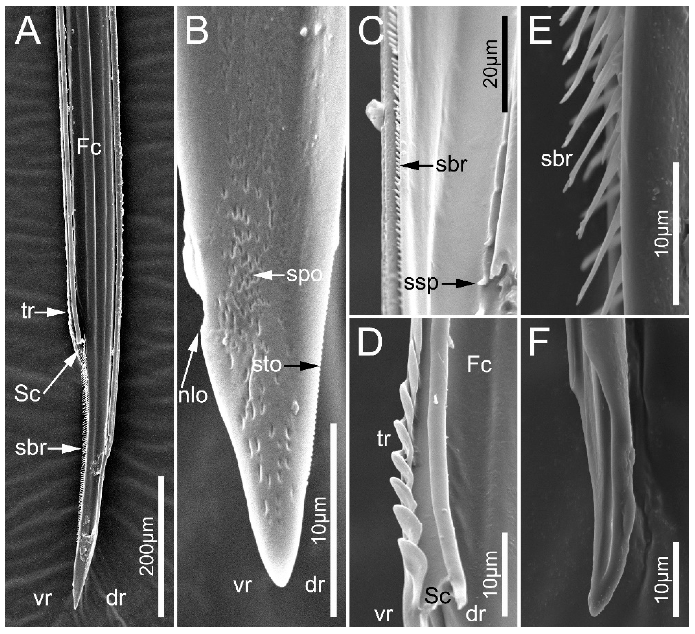 Biology 12 01299 g010