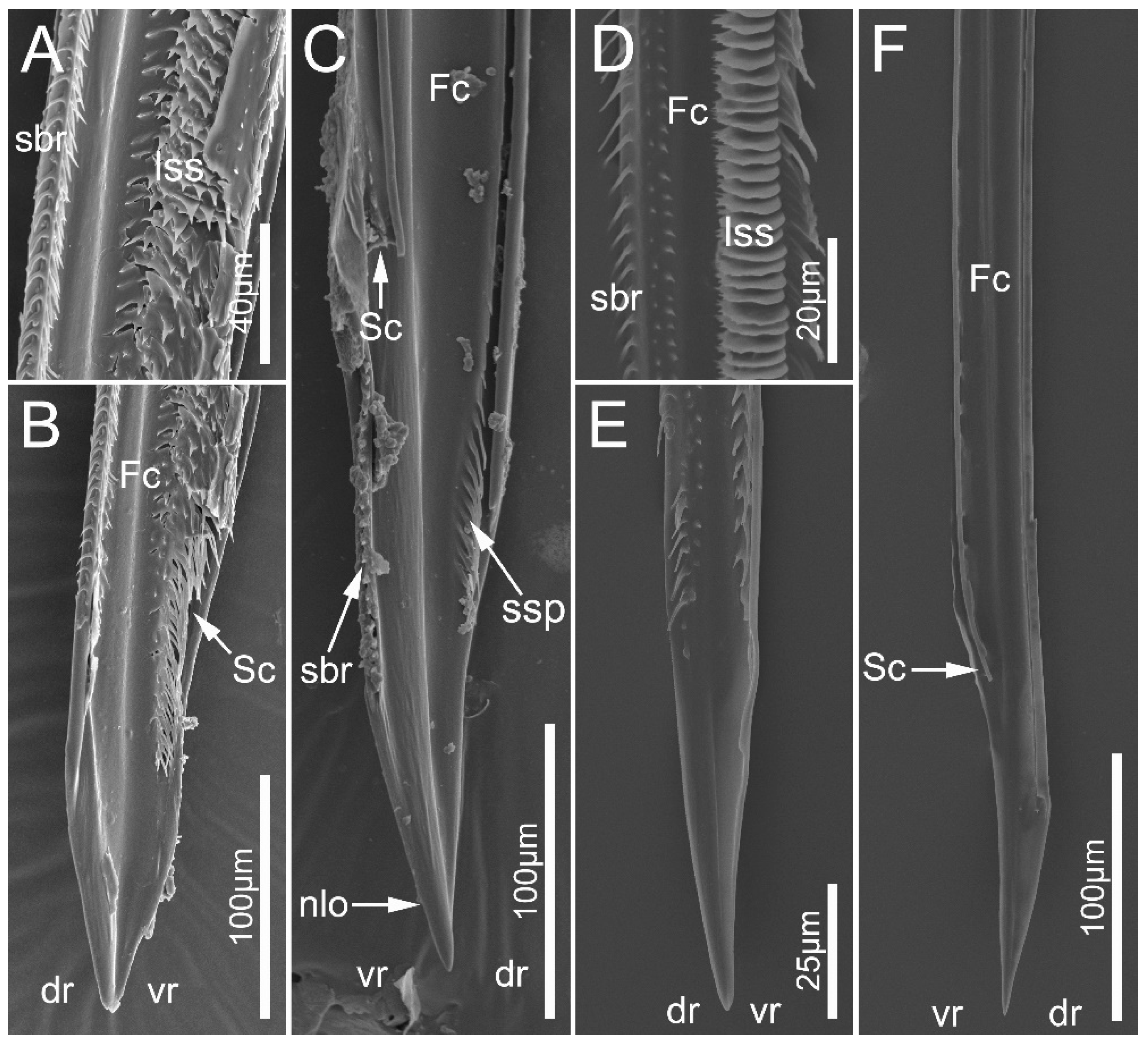 Biology 12 01299 g011