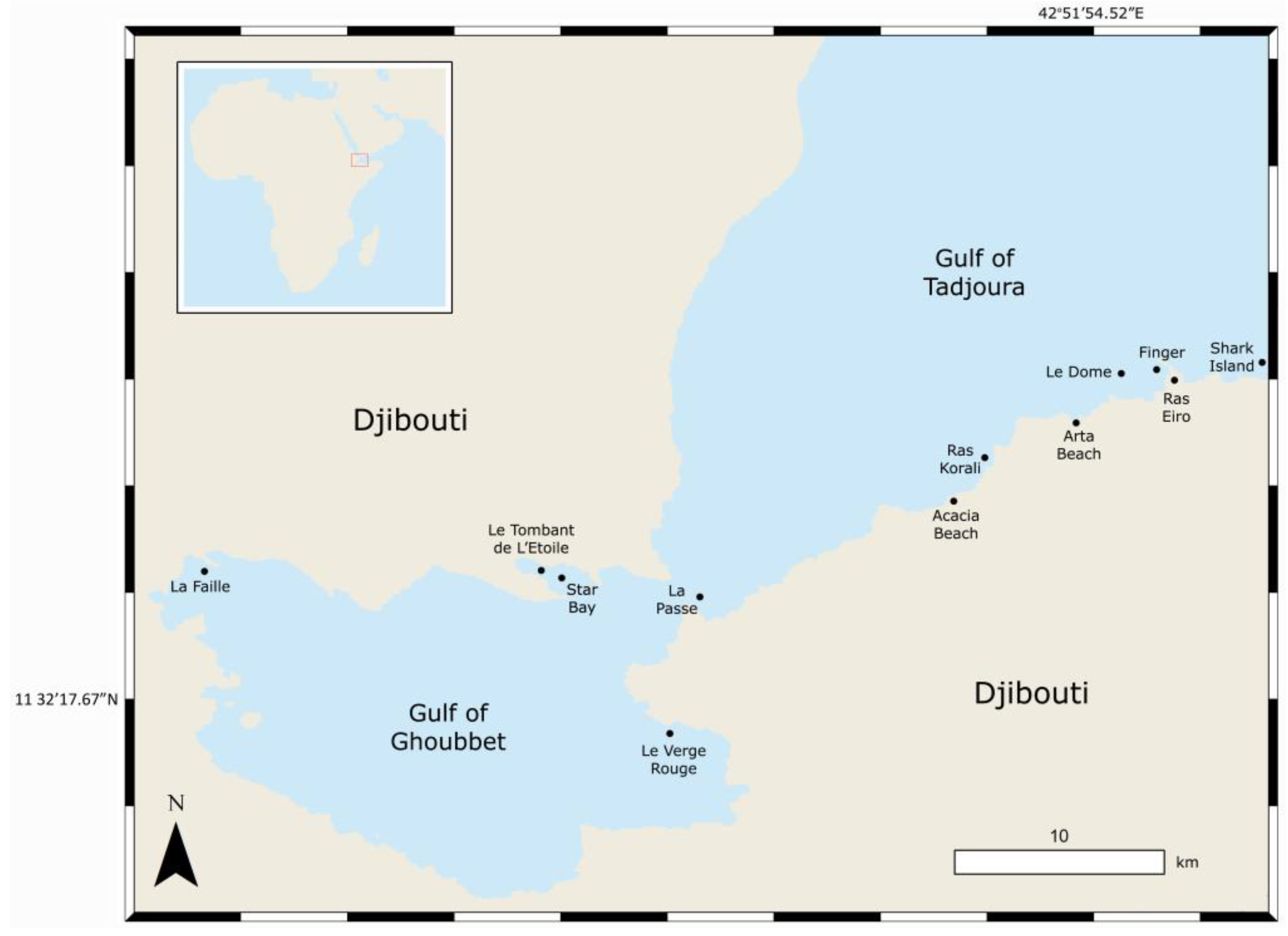 Biology Free Full-Text Annual Recurrence of the Critically Endangered Bowmouth Guitarfish (Rhina ancylostomus) in Djibouti Waters image