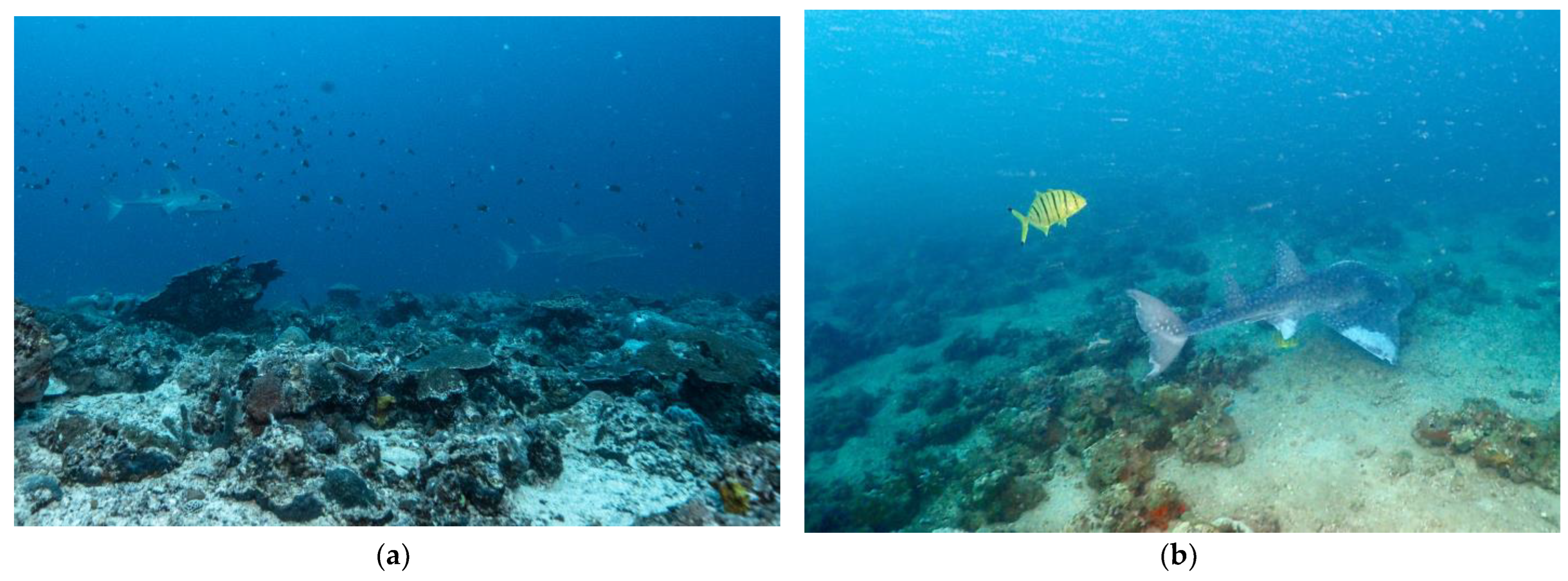 Biology 12 01302 g002