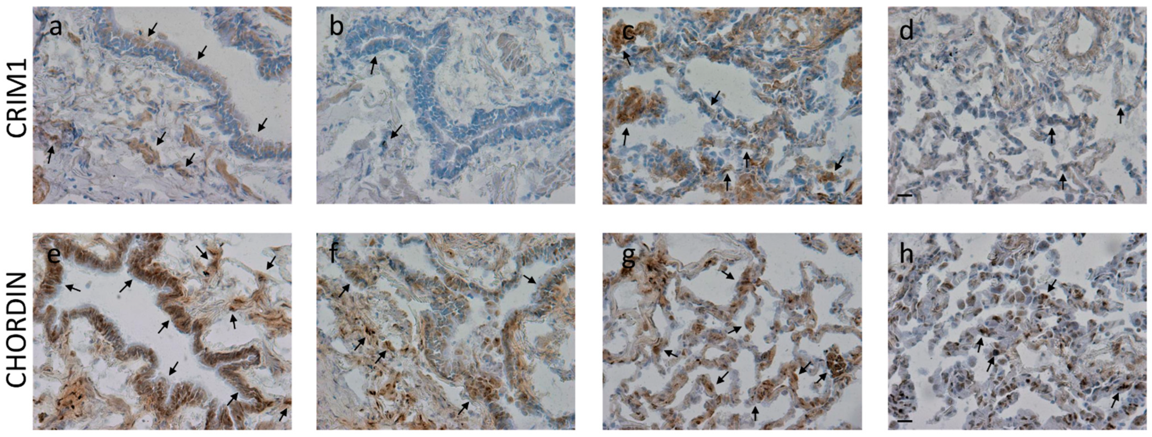 Biology 12 01304 g004 Biology 12 01304 g004