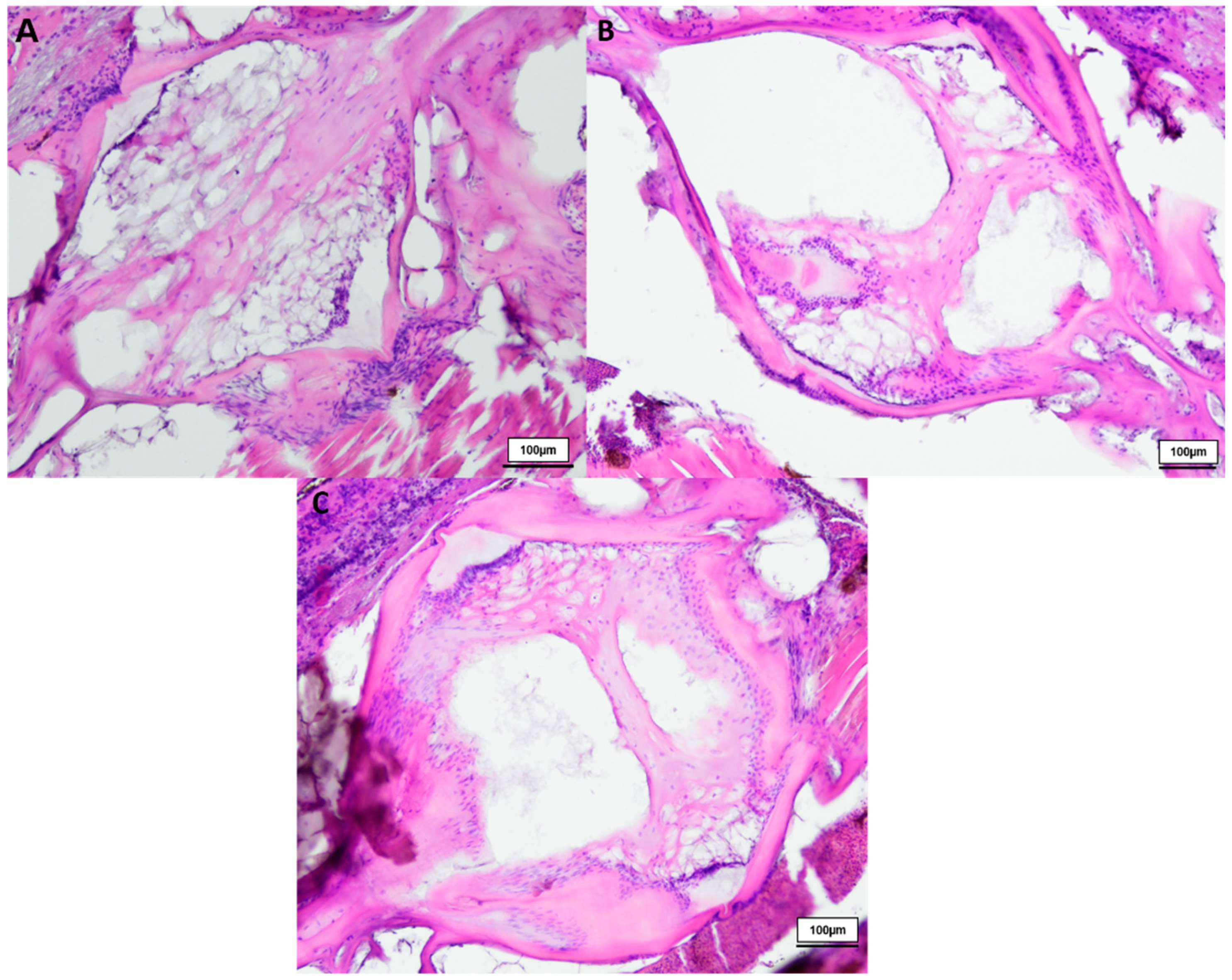 Biology 12 01305 g001 Biology 12 01305 g001