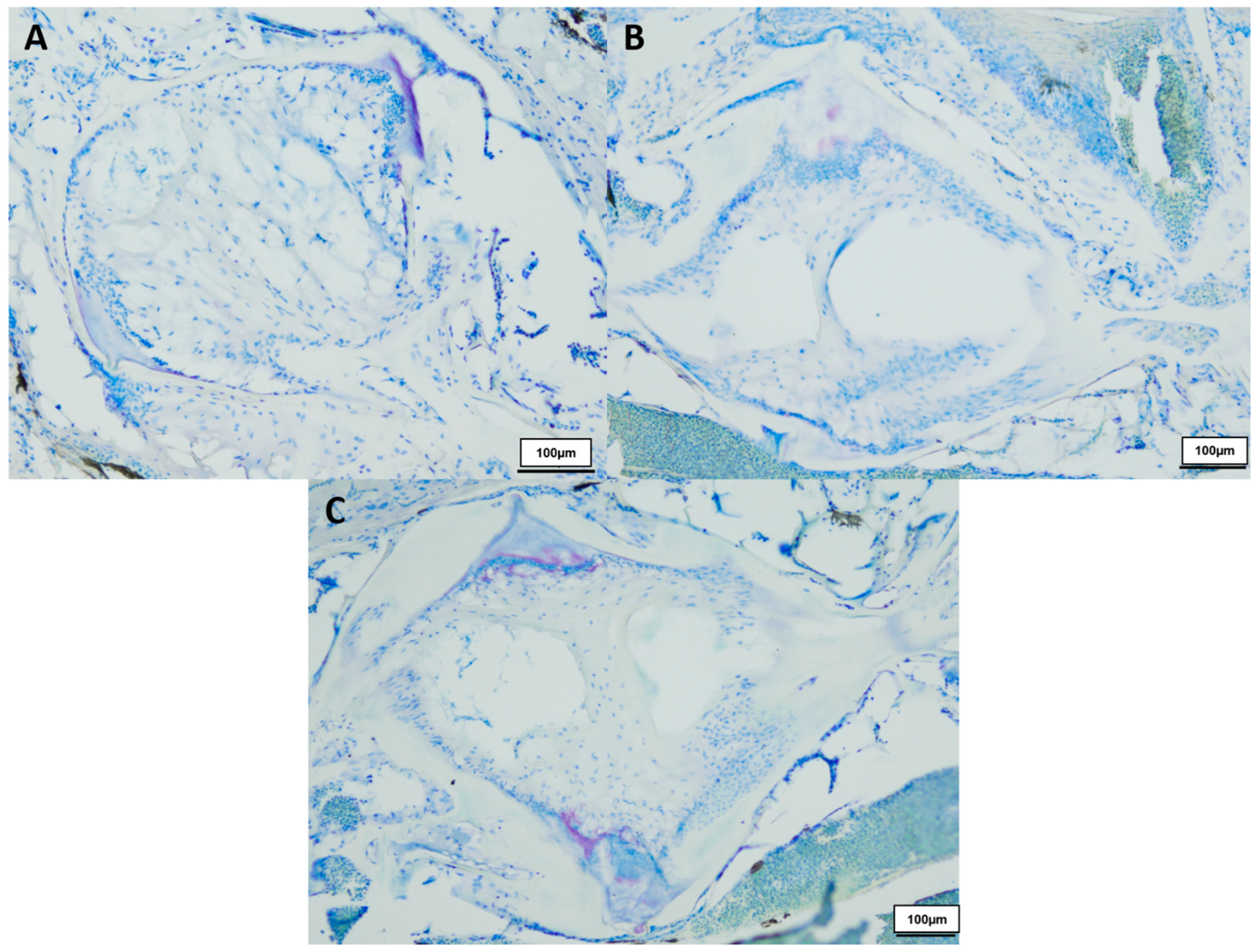 Biology 12 01305 g002 Biology 12 01305 g002