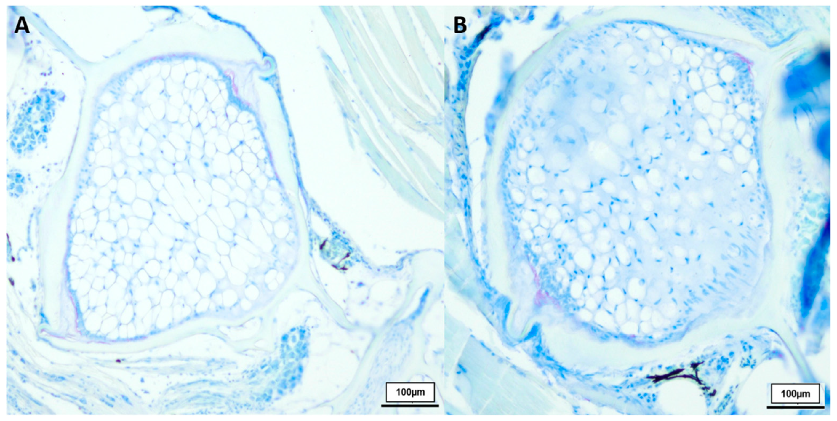 Biology 12 01305 g004 Biology 12 01305 g004