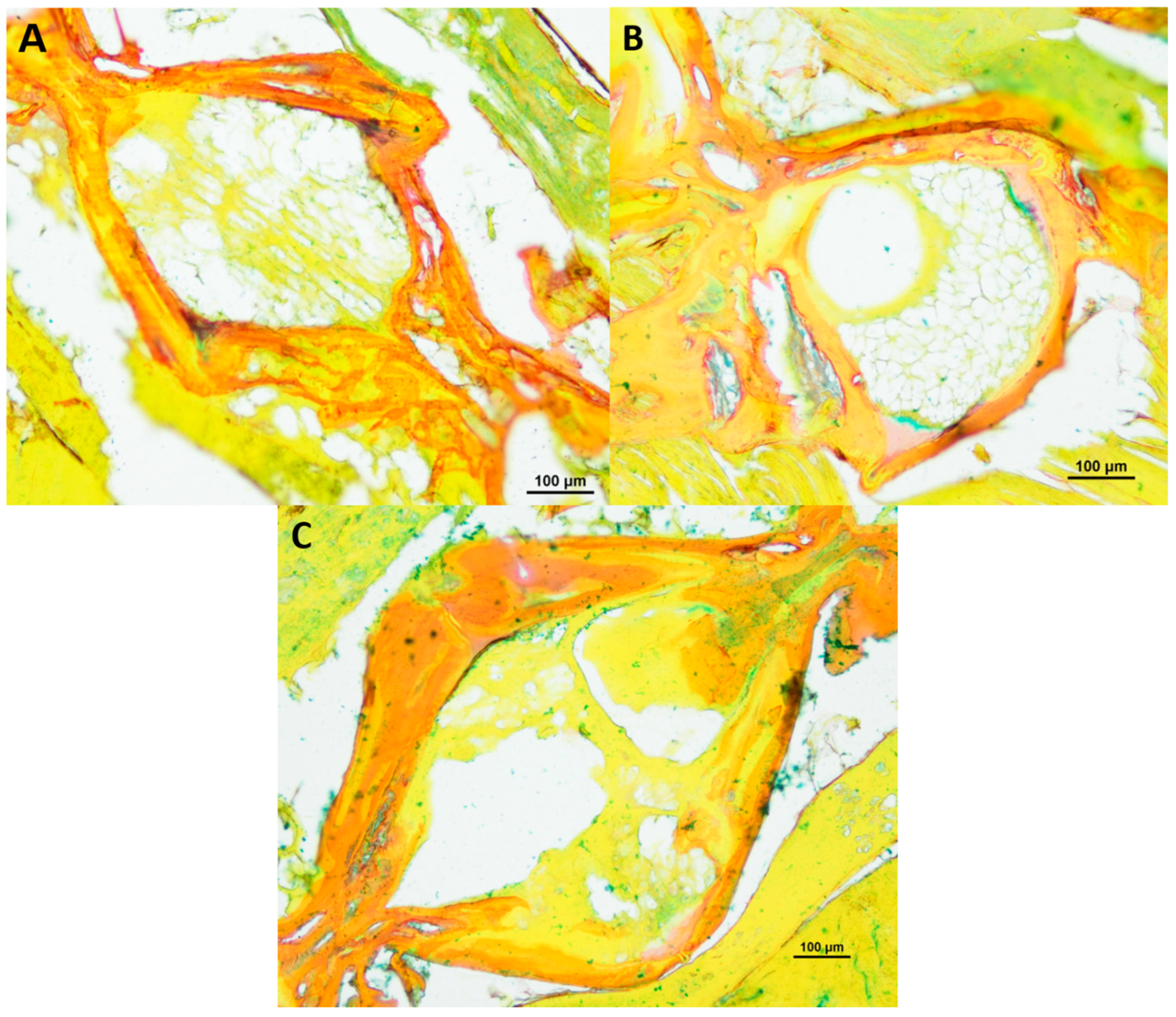 Biology 12 01305 g005 Biology 12 01305 g005
