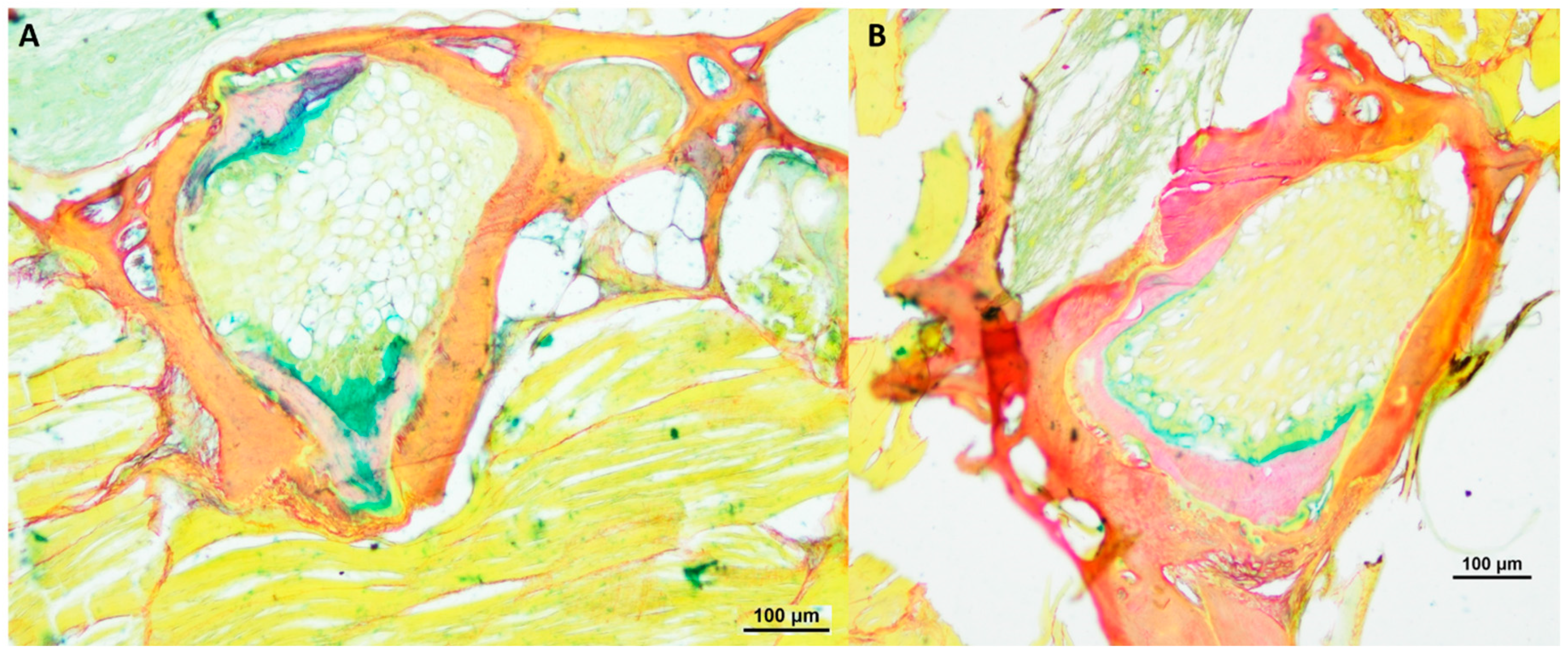 Biology 12 01305 g006 Biology 12 01305 g006