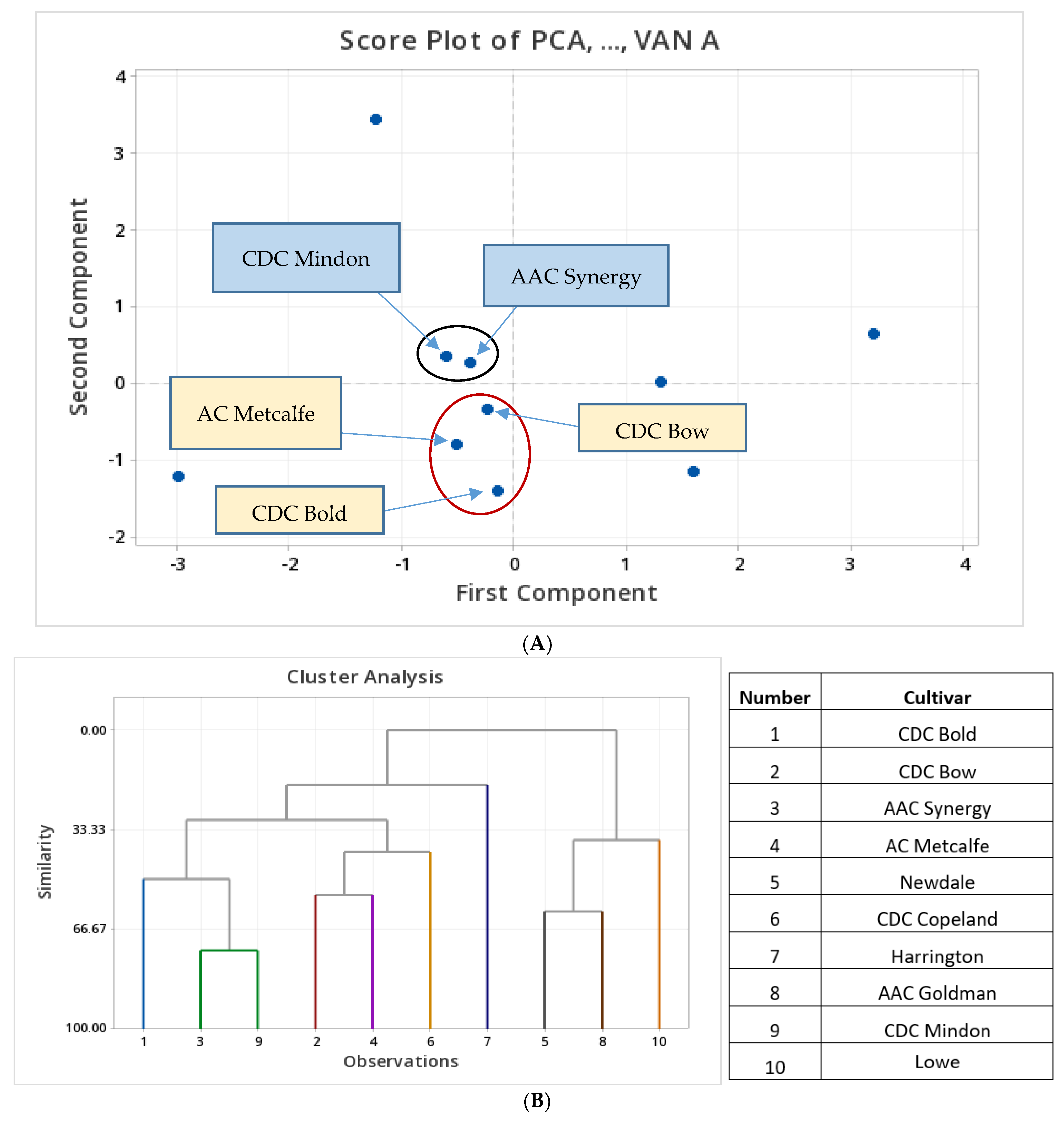 Biology 12 01306 g004