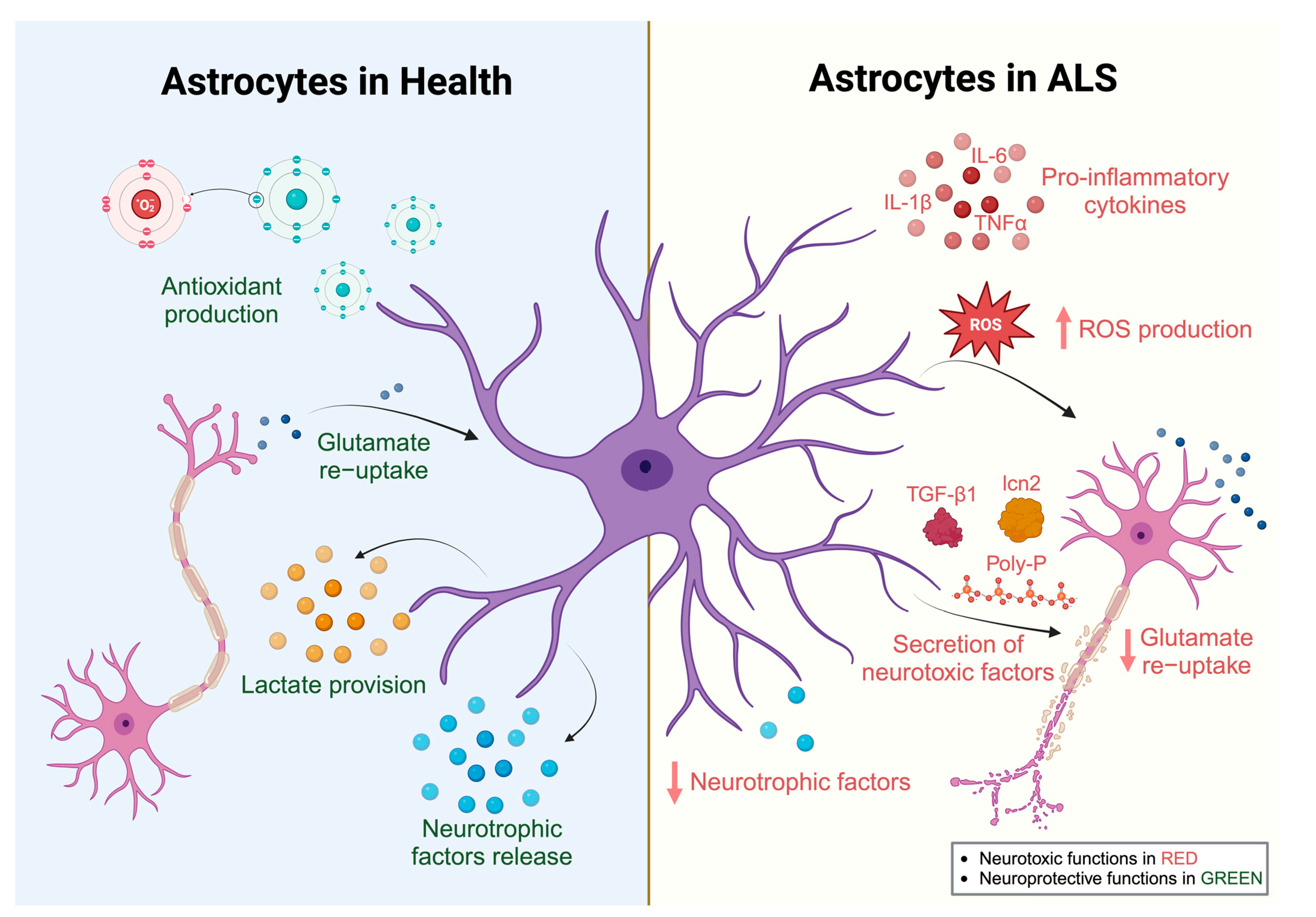 Biology 12 01307 g002