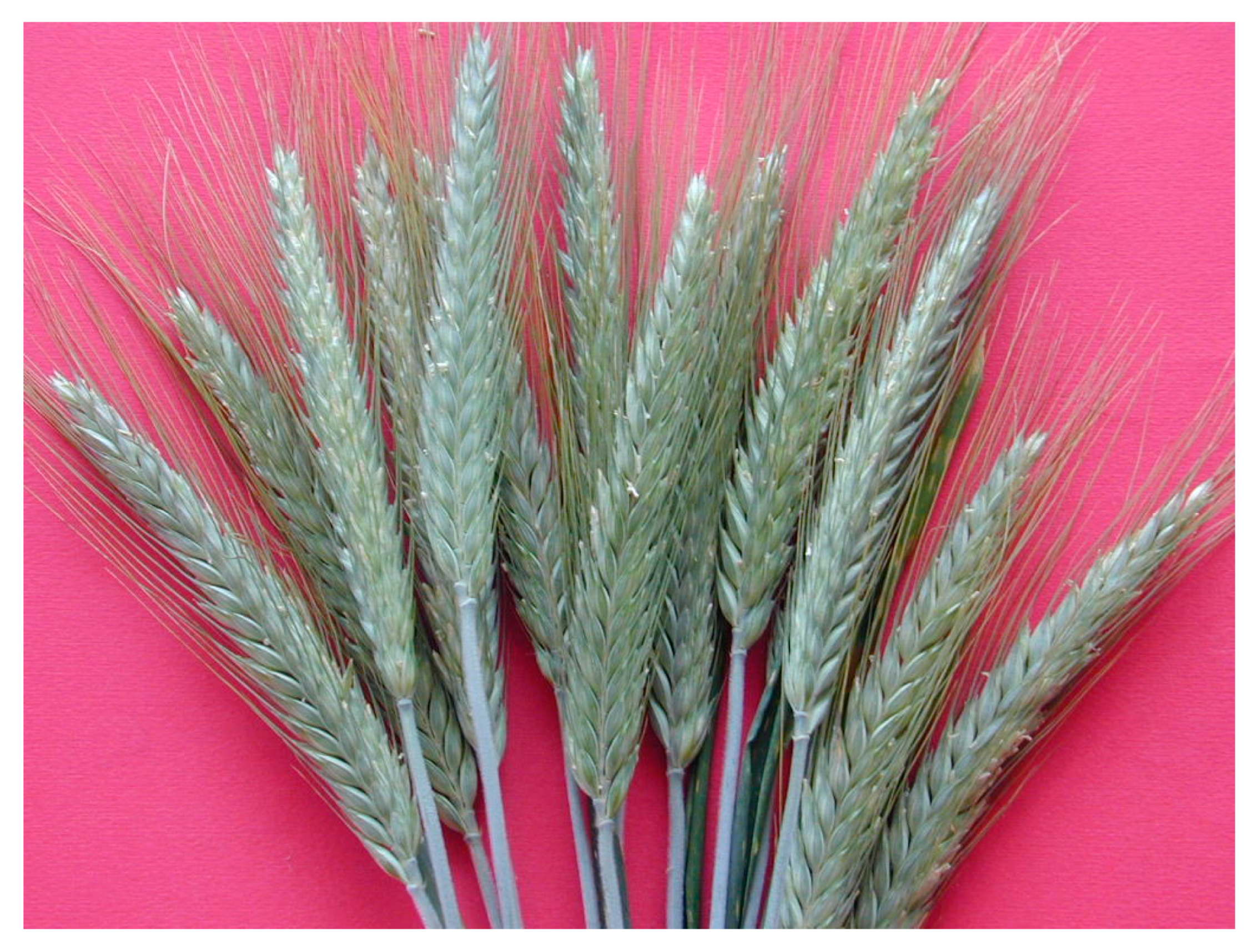 Biology 12 01308 g001