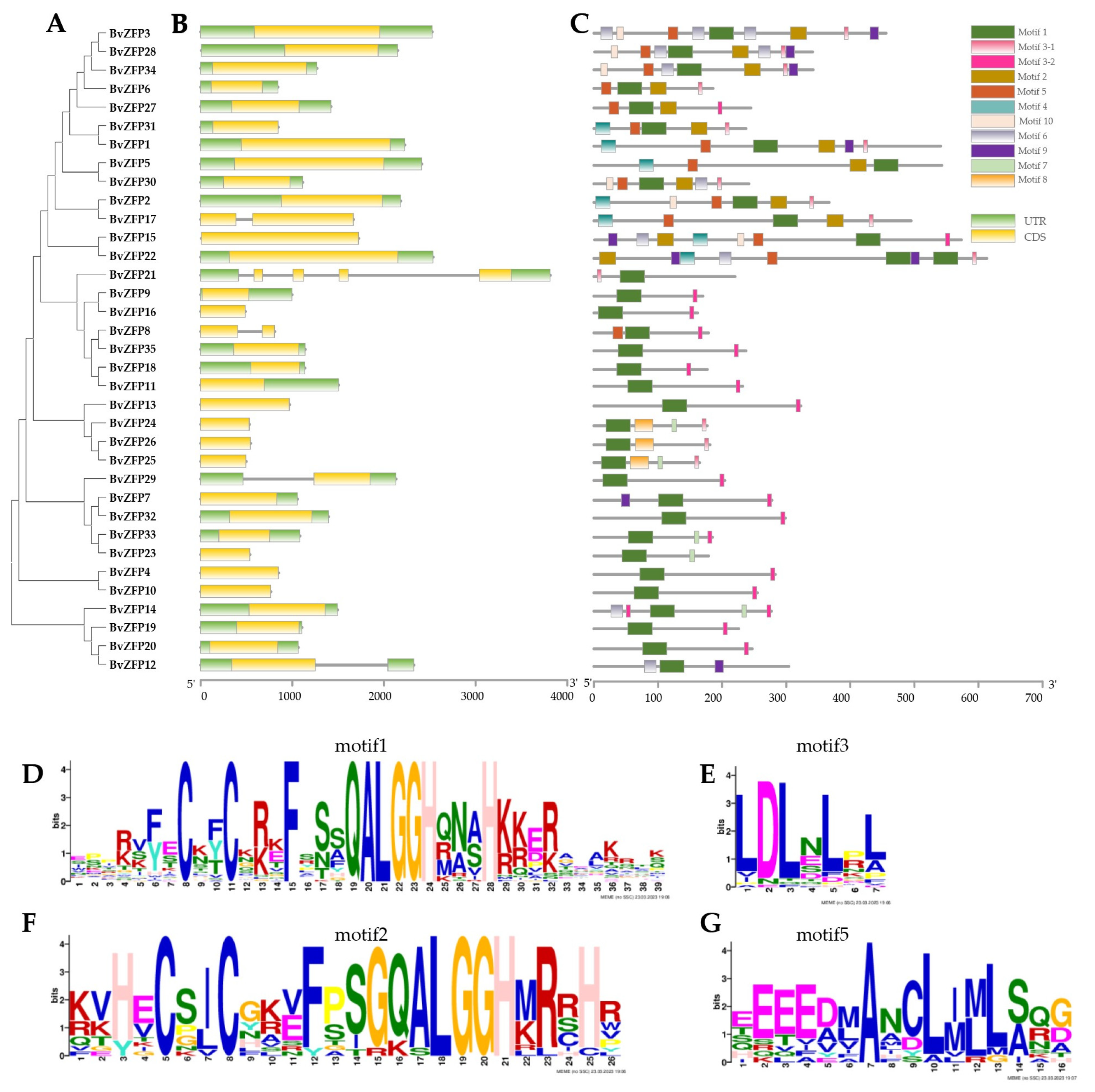 Biology 12 01309 g003 Biology 12 01309 g003