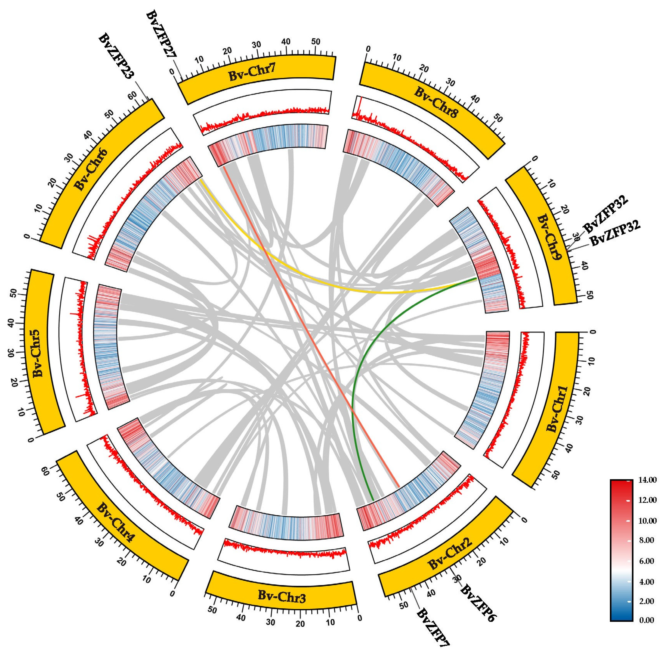 Biology 12 01309 g004 Biology 12 01309 g004