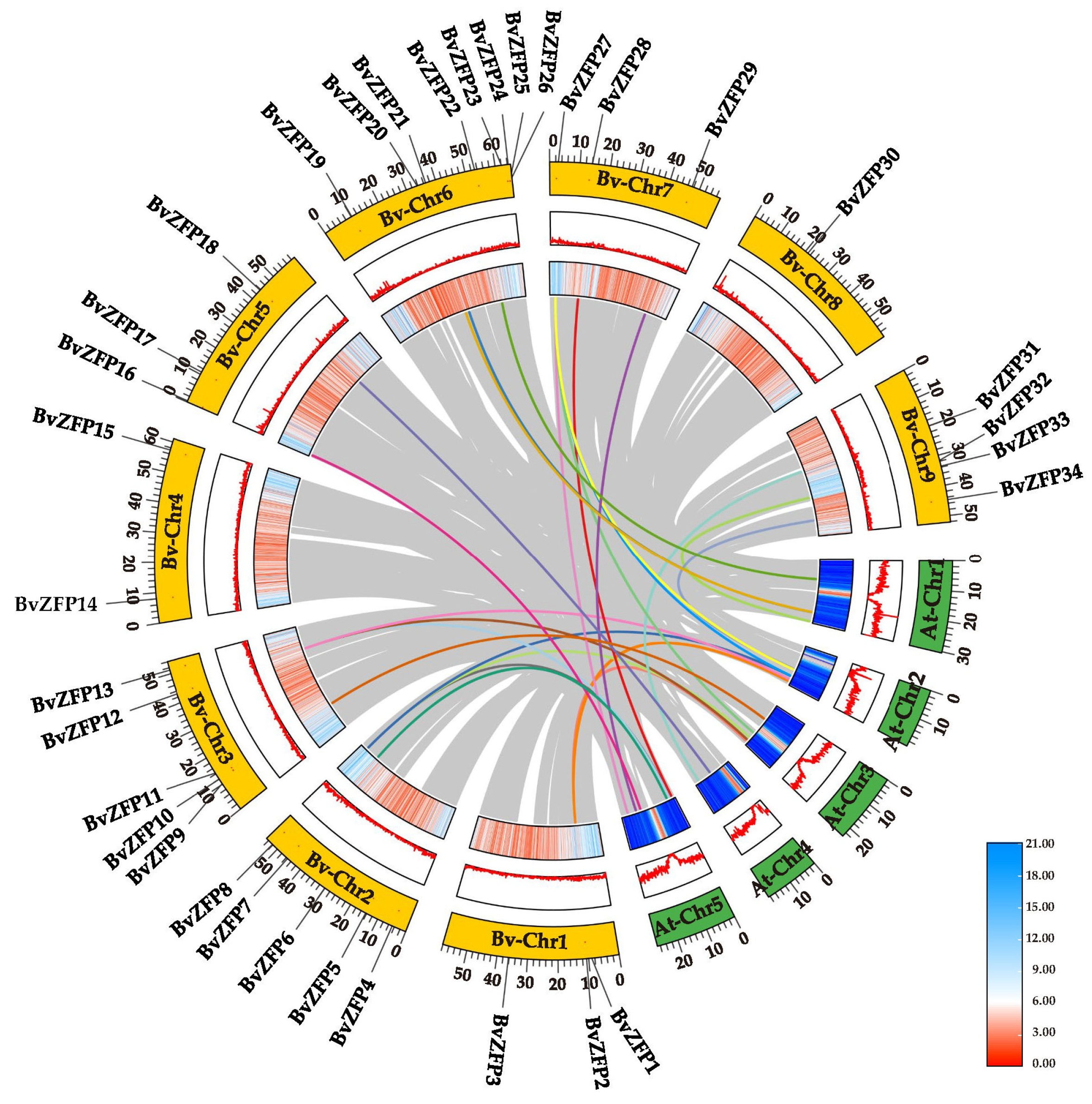 Biology 12 01309 g005 Biology 12 01309 g005