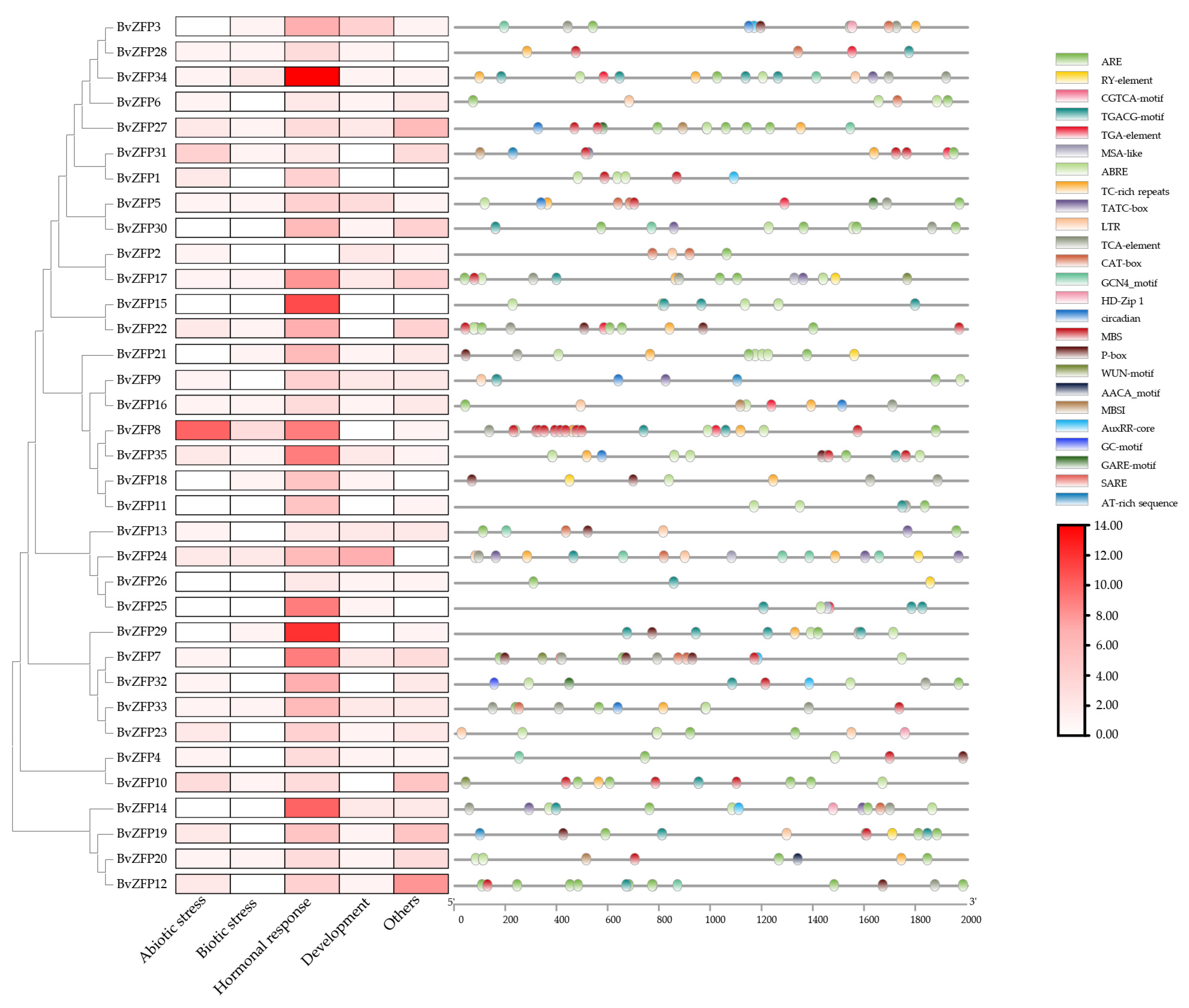 Biology 12 01309 g006 Biology 12 01309 g006