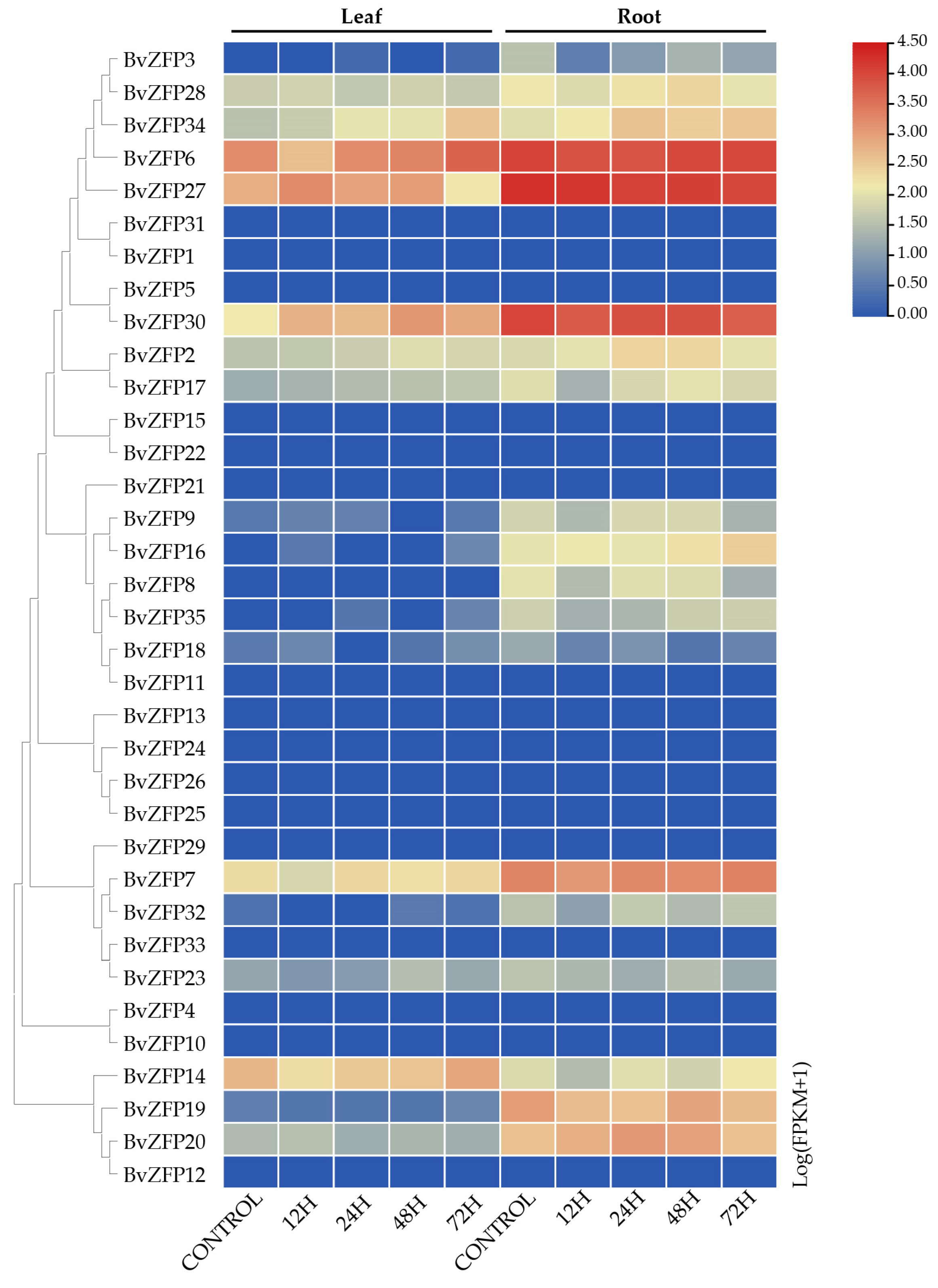 Biology 12 01309 g007 Biology 12 01309 g007