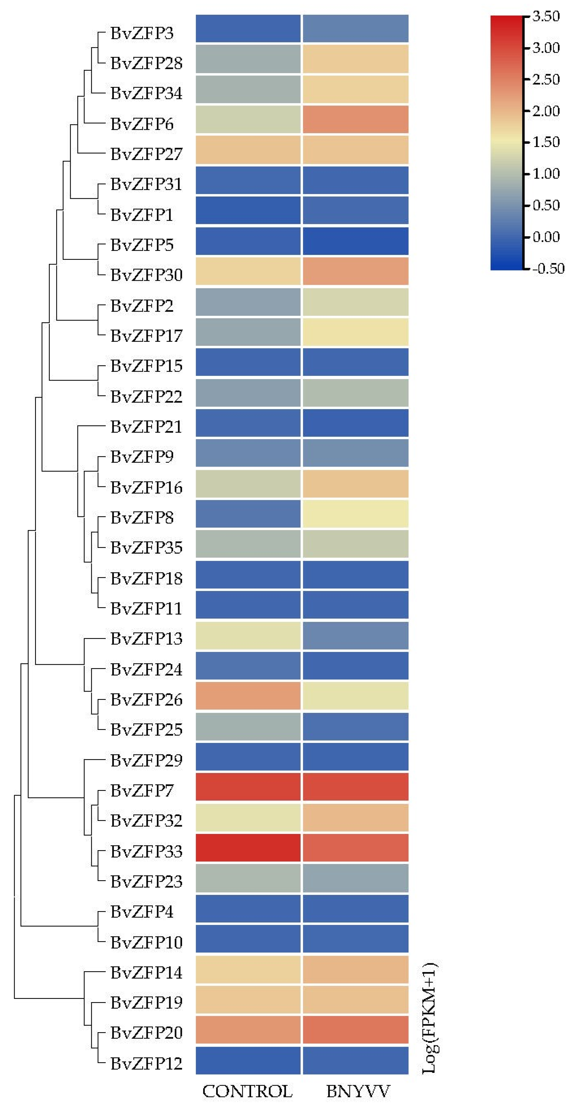 Biology 12 01309 g008 Biology 12 01309 g008