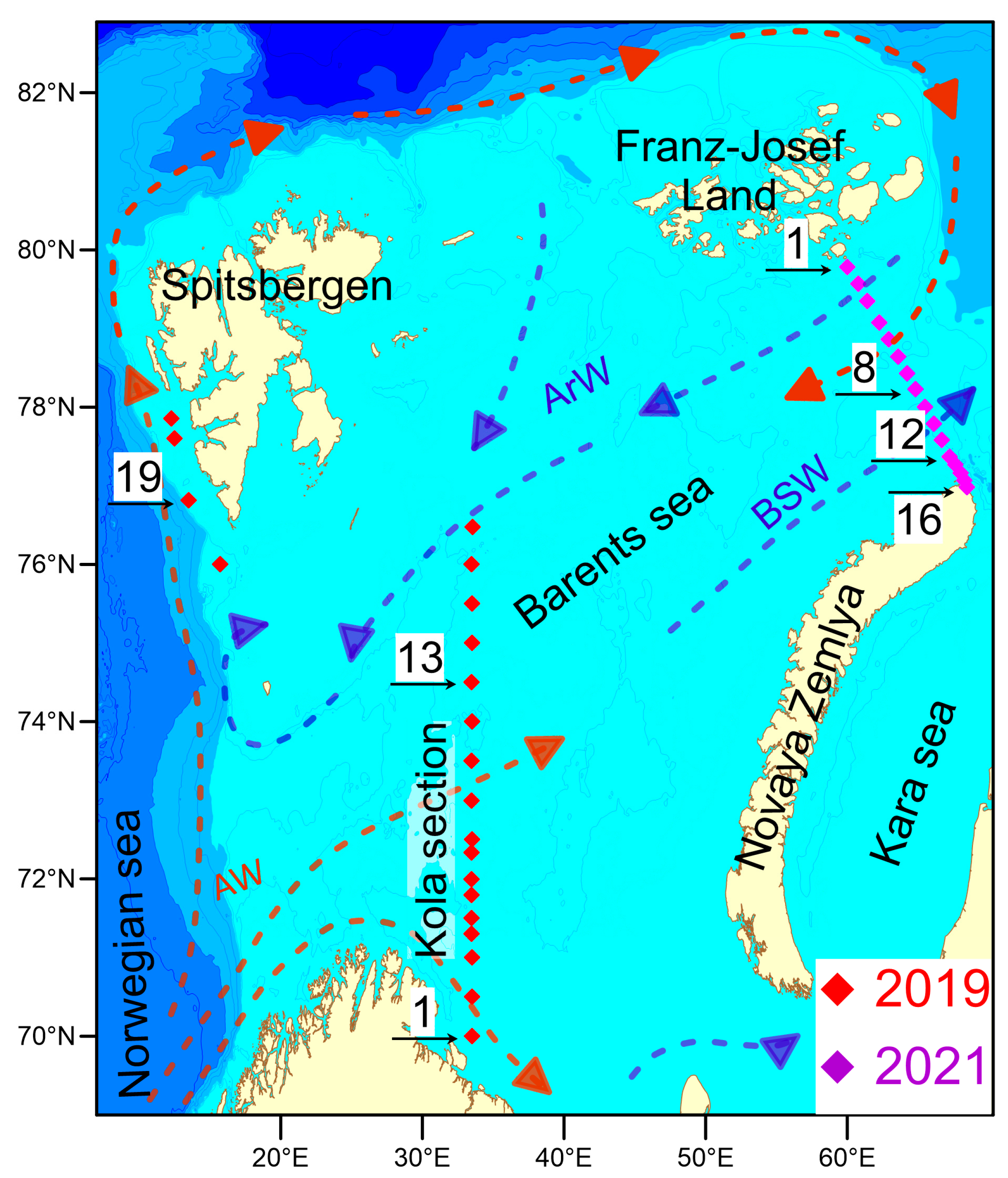 Biology 12 01310 g001
