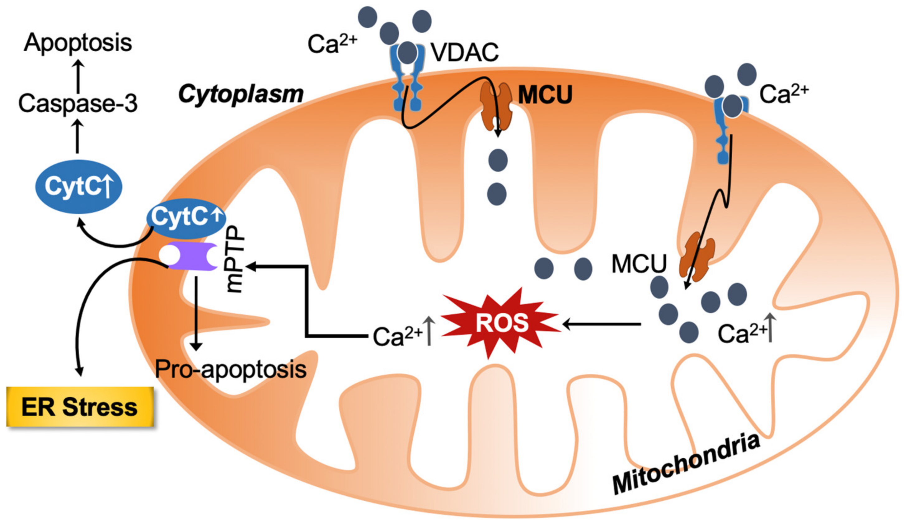 Biology 12 01311 g001
