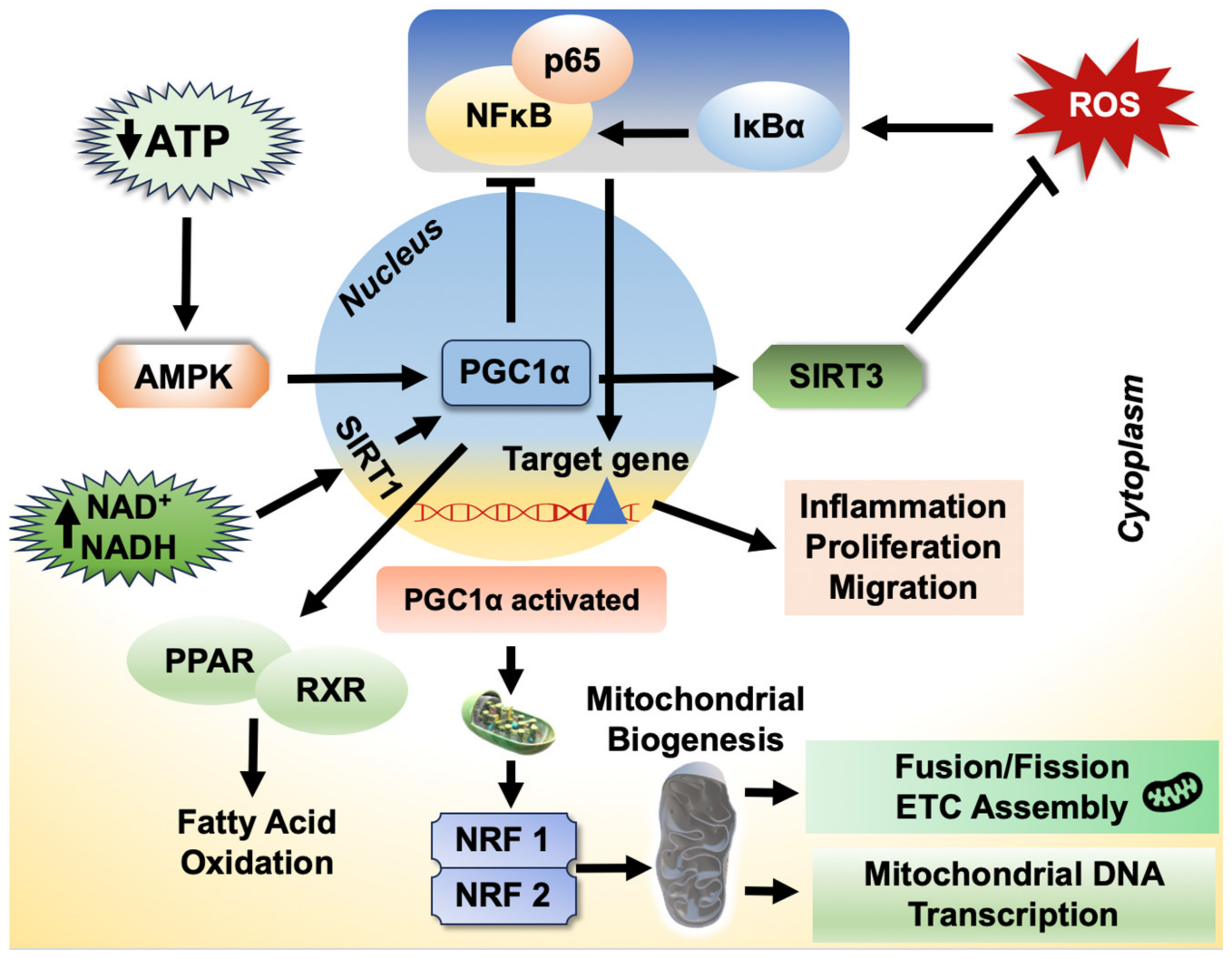 Biology 12 01311 g004