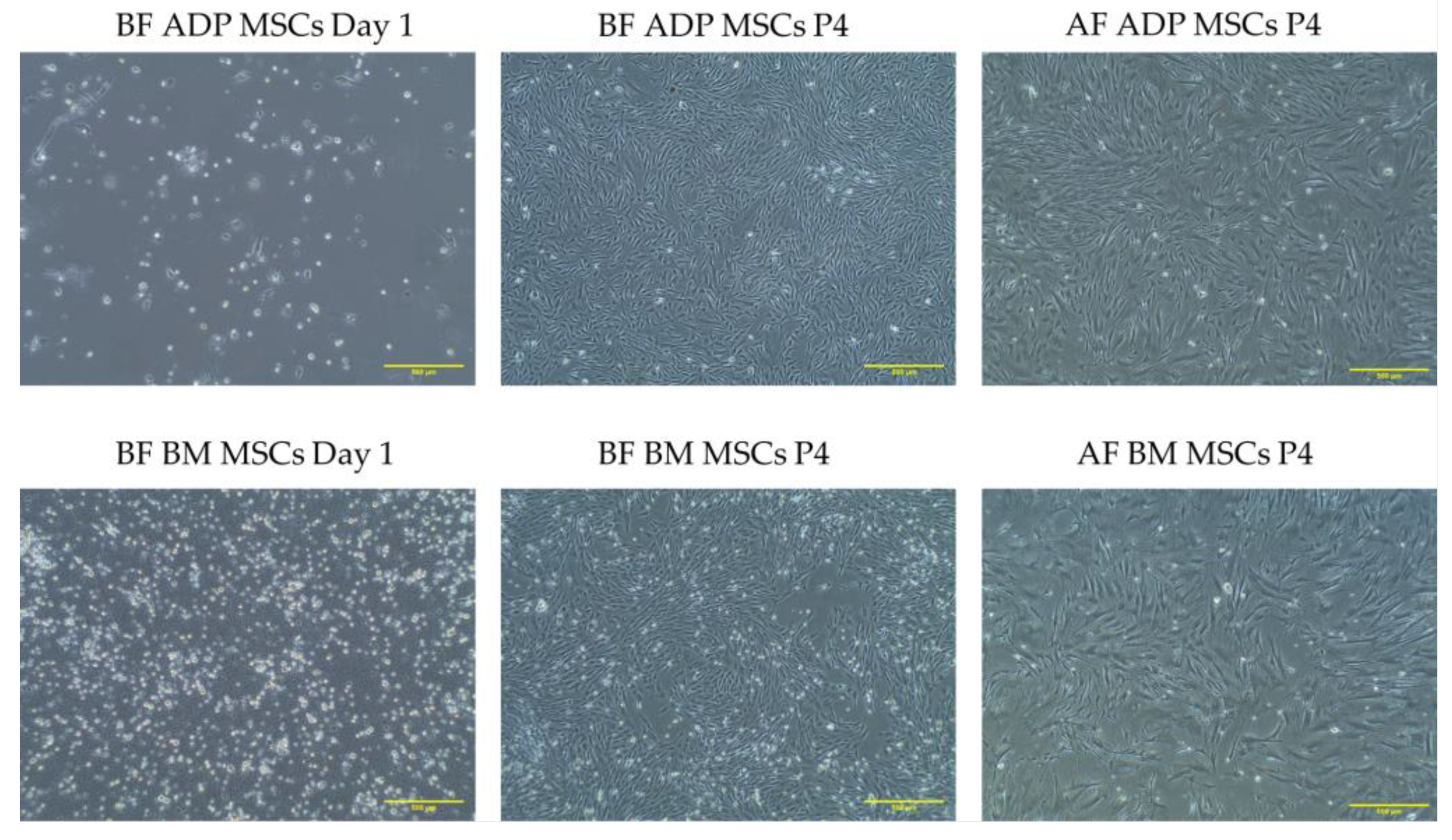 Biology 12 01312 g002