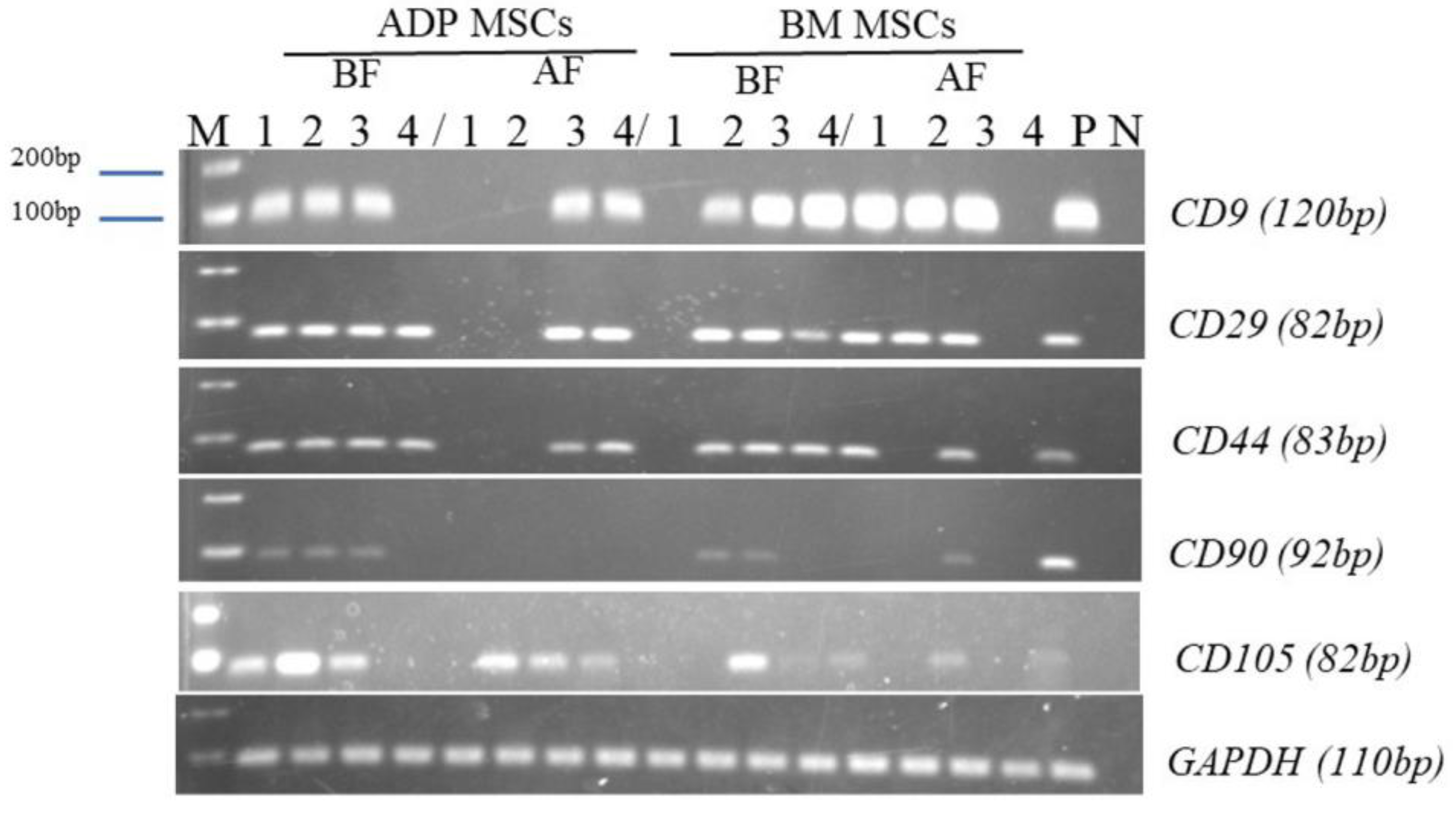 Biology 12 01312 g006